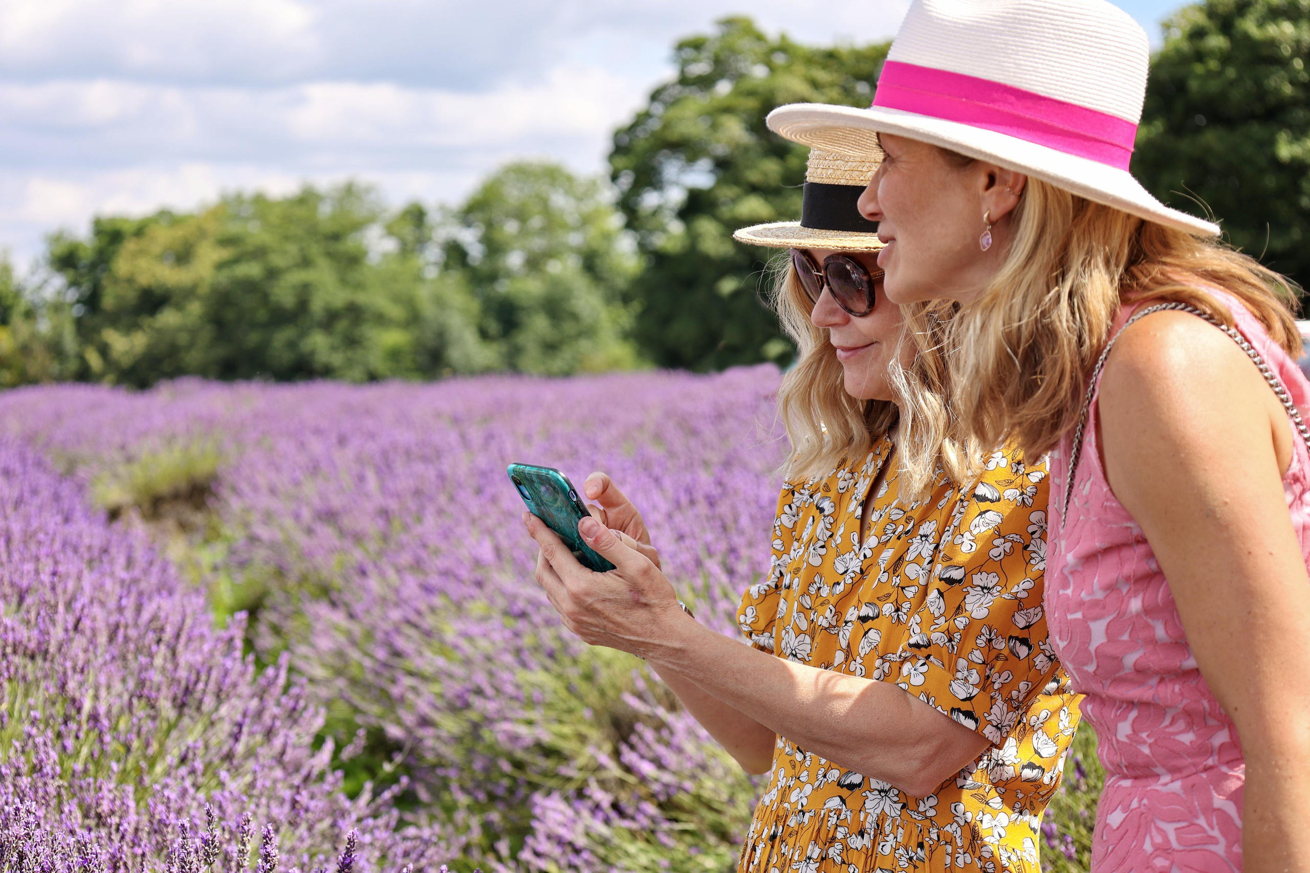 Lavender field, London. Couples and portraits photographer Wimbledon London