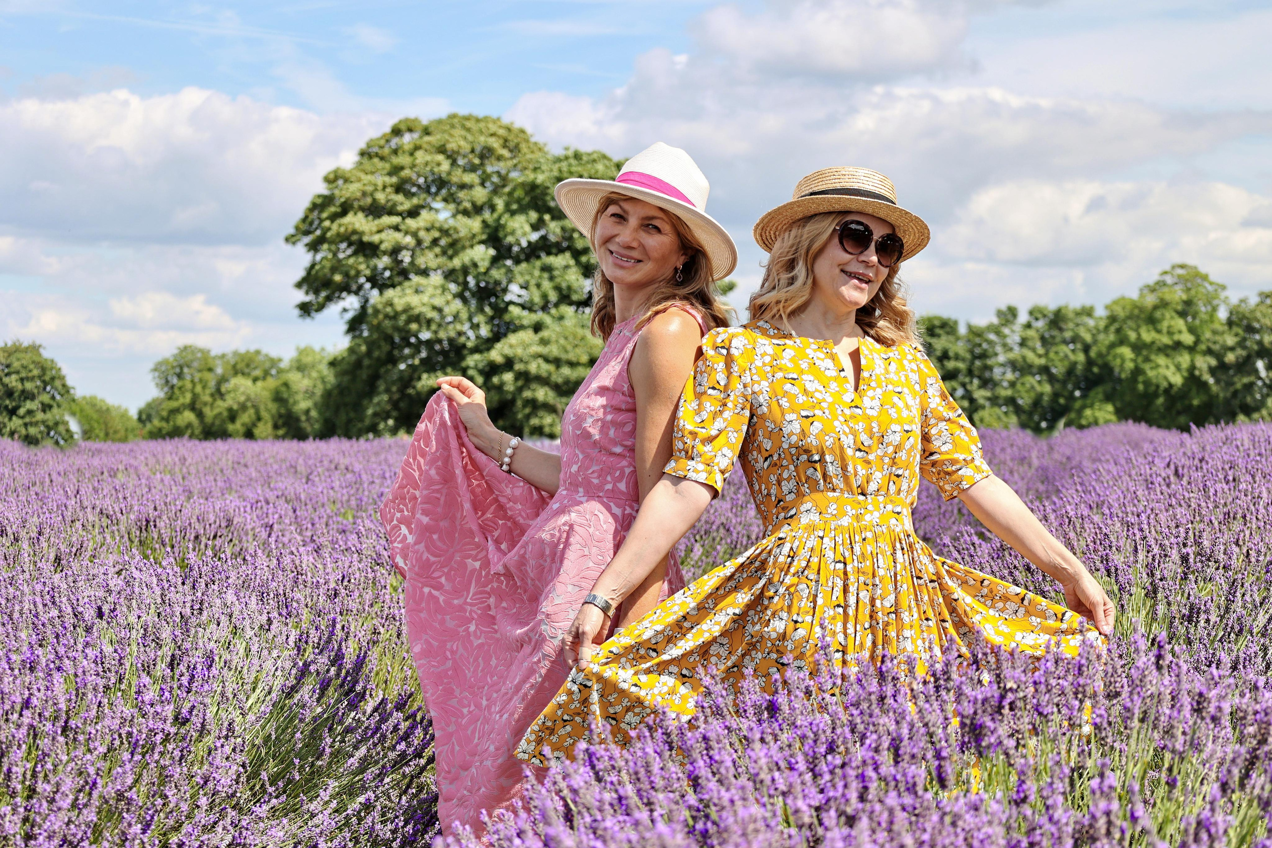 Lavender field, London. Couples and portraits photographer Wimbledon London