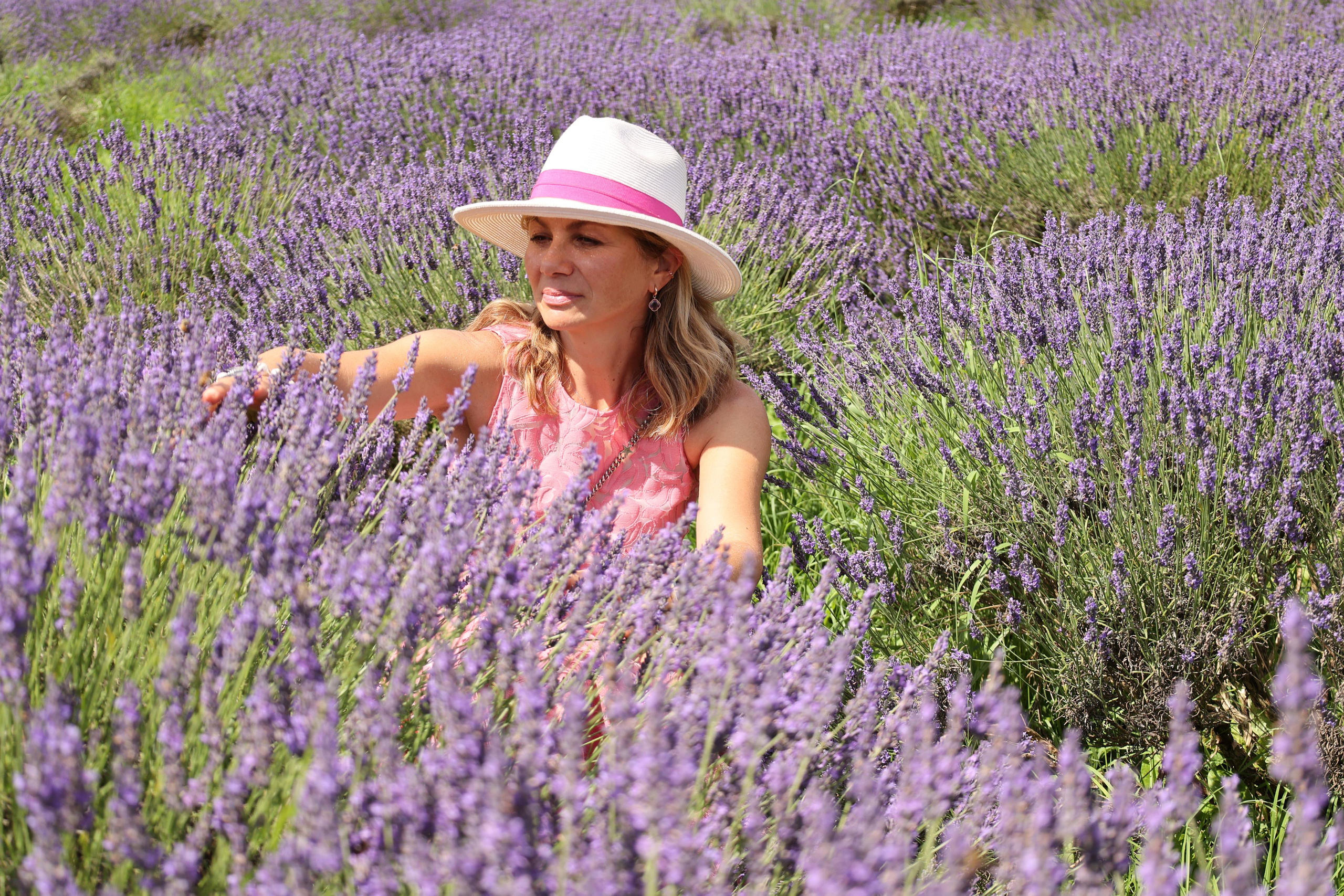 Lavender field, London. Couples and portraits photographer Wimbledon London