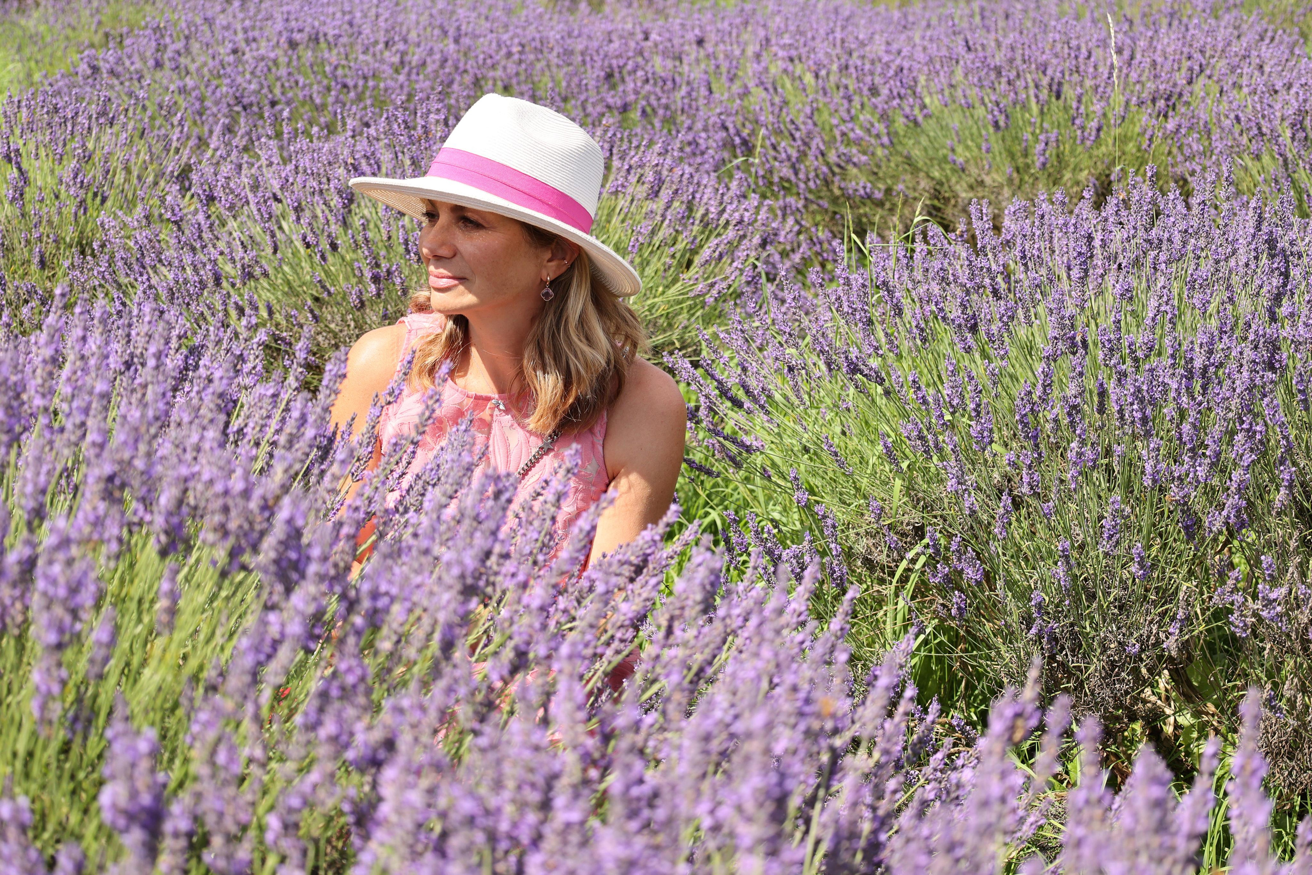 Lavender field, London. Couples and portraits photographer Wimbledon London