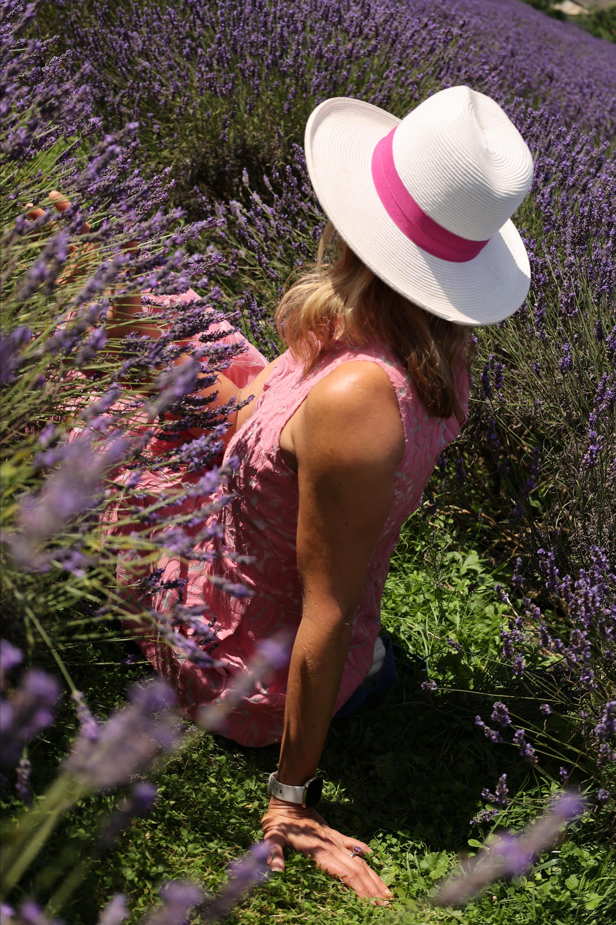 Lavender field, London. Couples and portraits photographer Wimbledon London