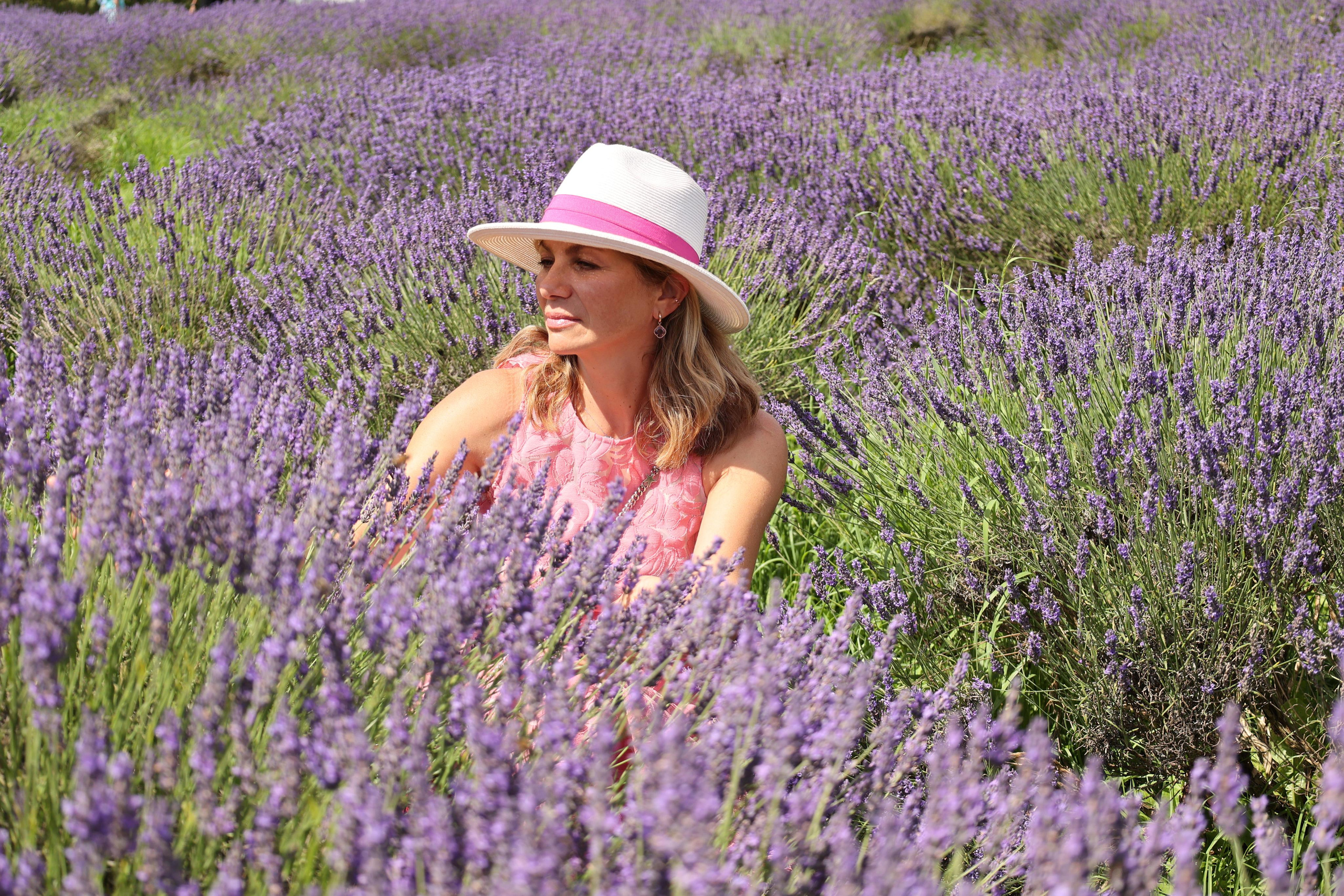 Lavender field, London. Couples and portraits photographer Wimbledon London