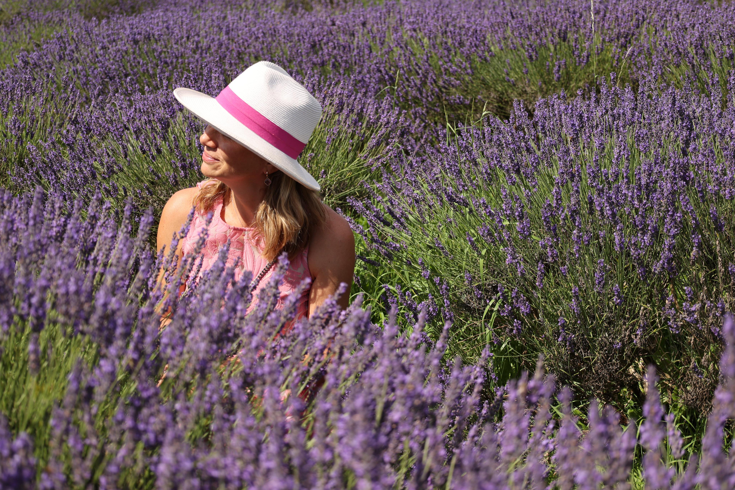 Lavender field, London. Couples and portraits photographer Wimbledon London