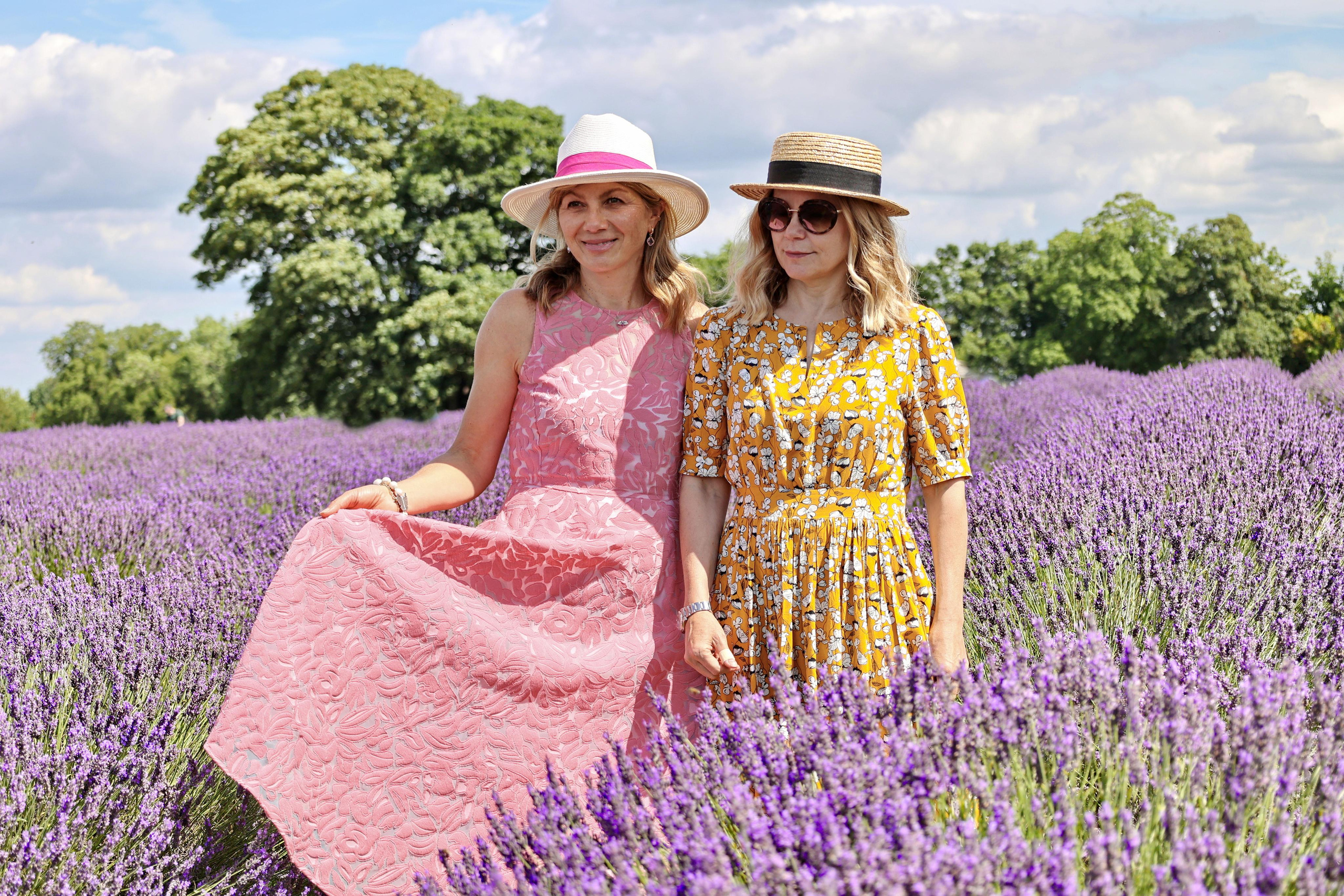 Lavender field, London. Couples and portraits photographer Wimbledon London
