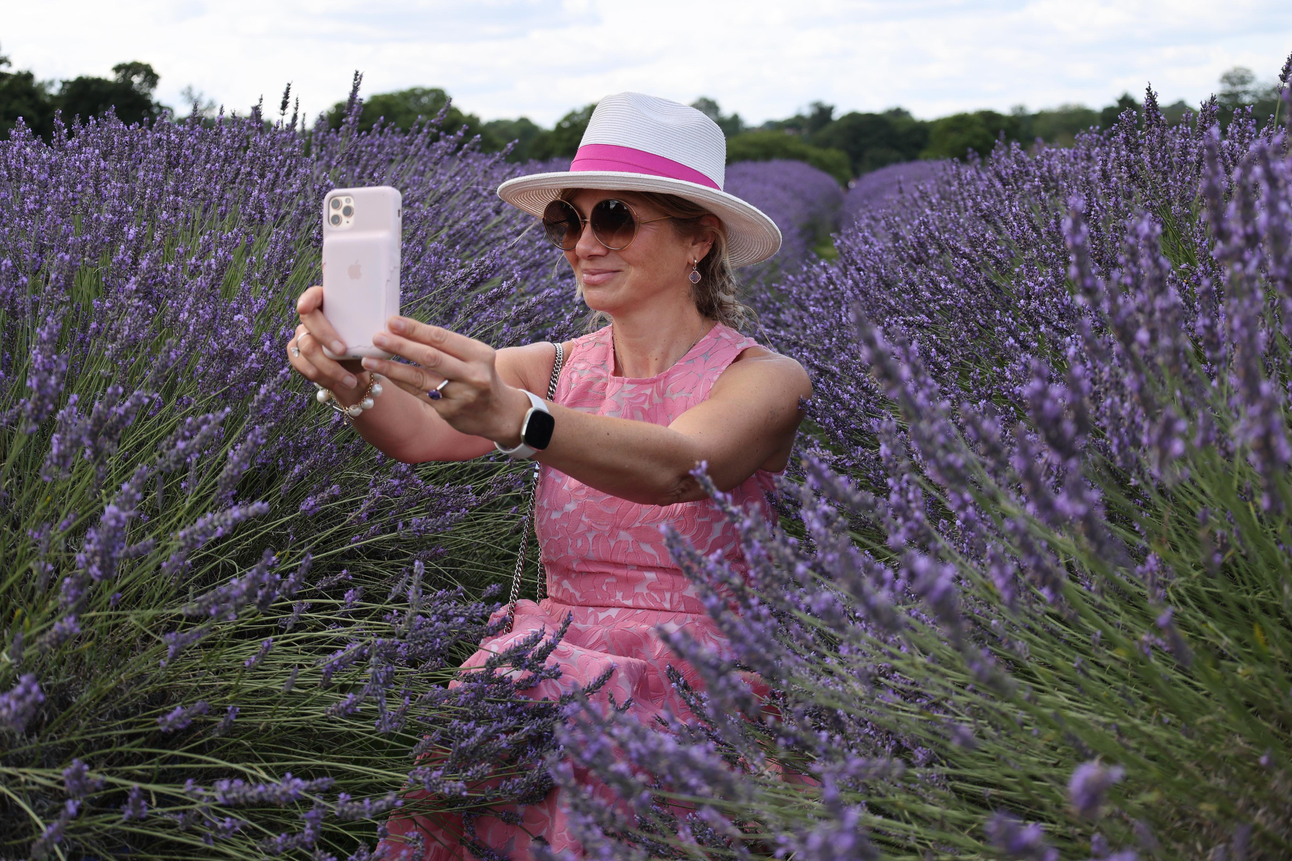 Lavender field, London. Couples and portraits photographer Wimbledon London