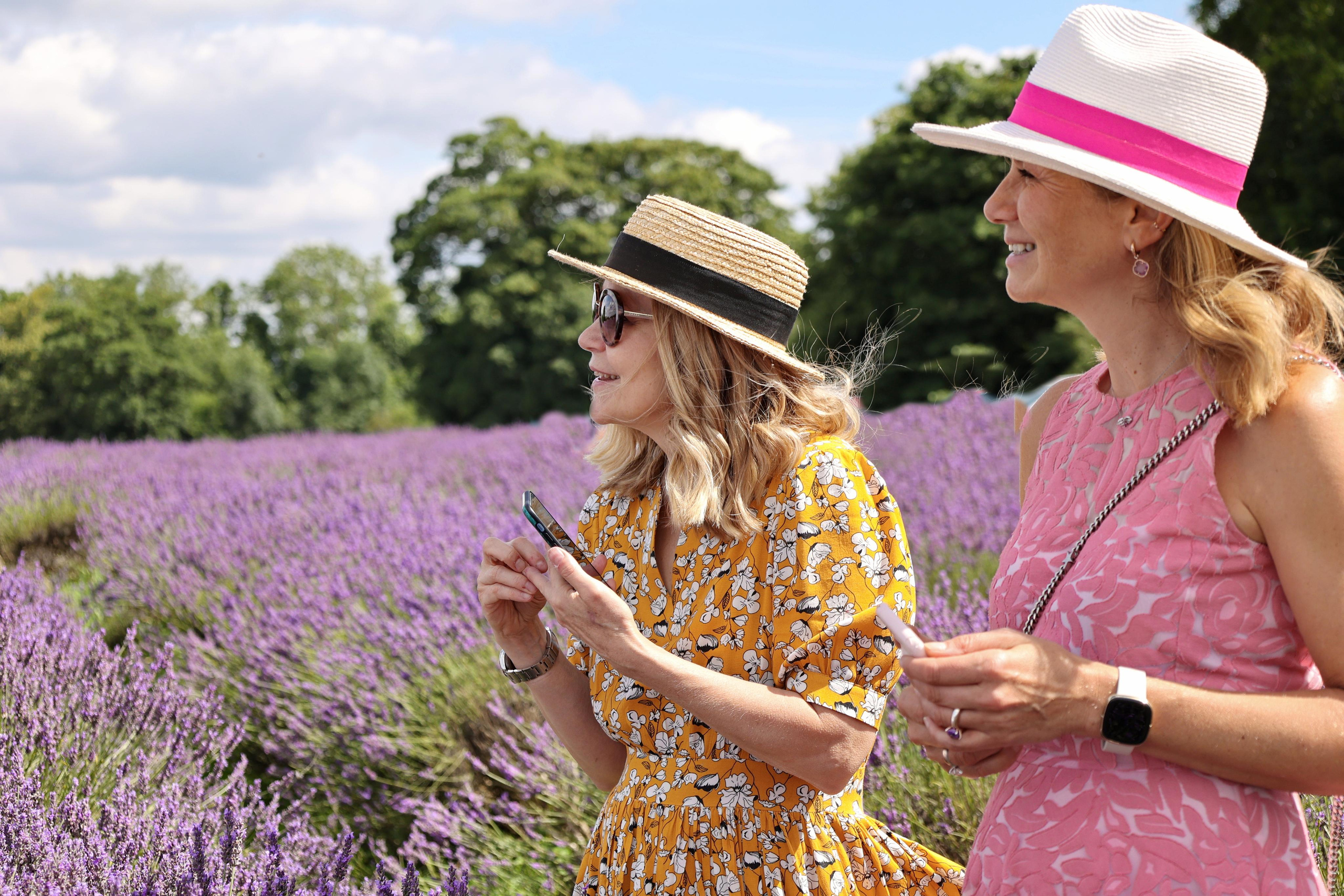 Lavender field, London. Couples and portraits photographer Wimbledon London