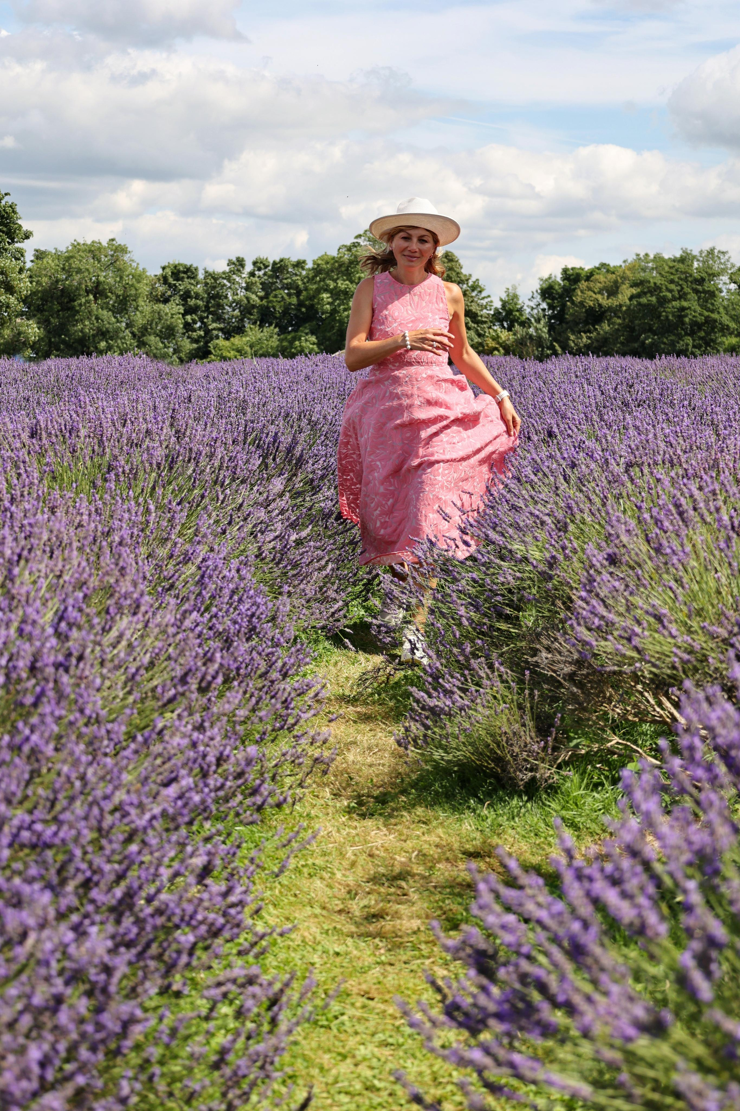Lavender field, London. Couples and portraits photographer Wimbledon London
