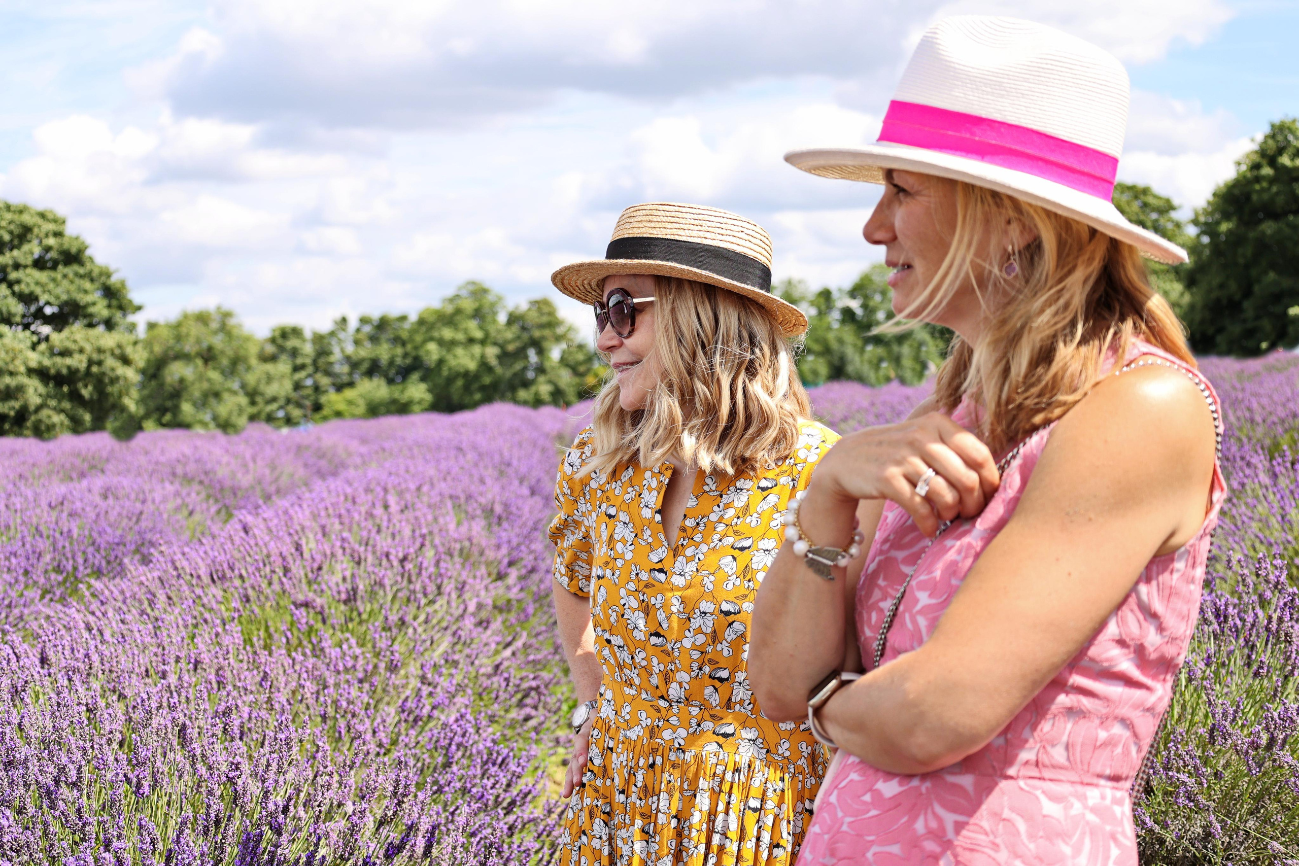 Lavender field, London. Couples and portraits photographer Wimbledon London