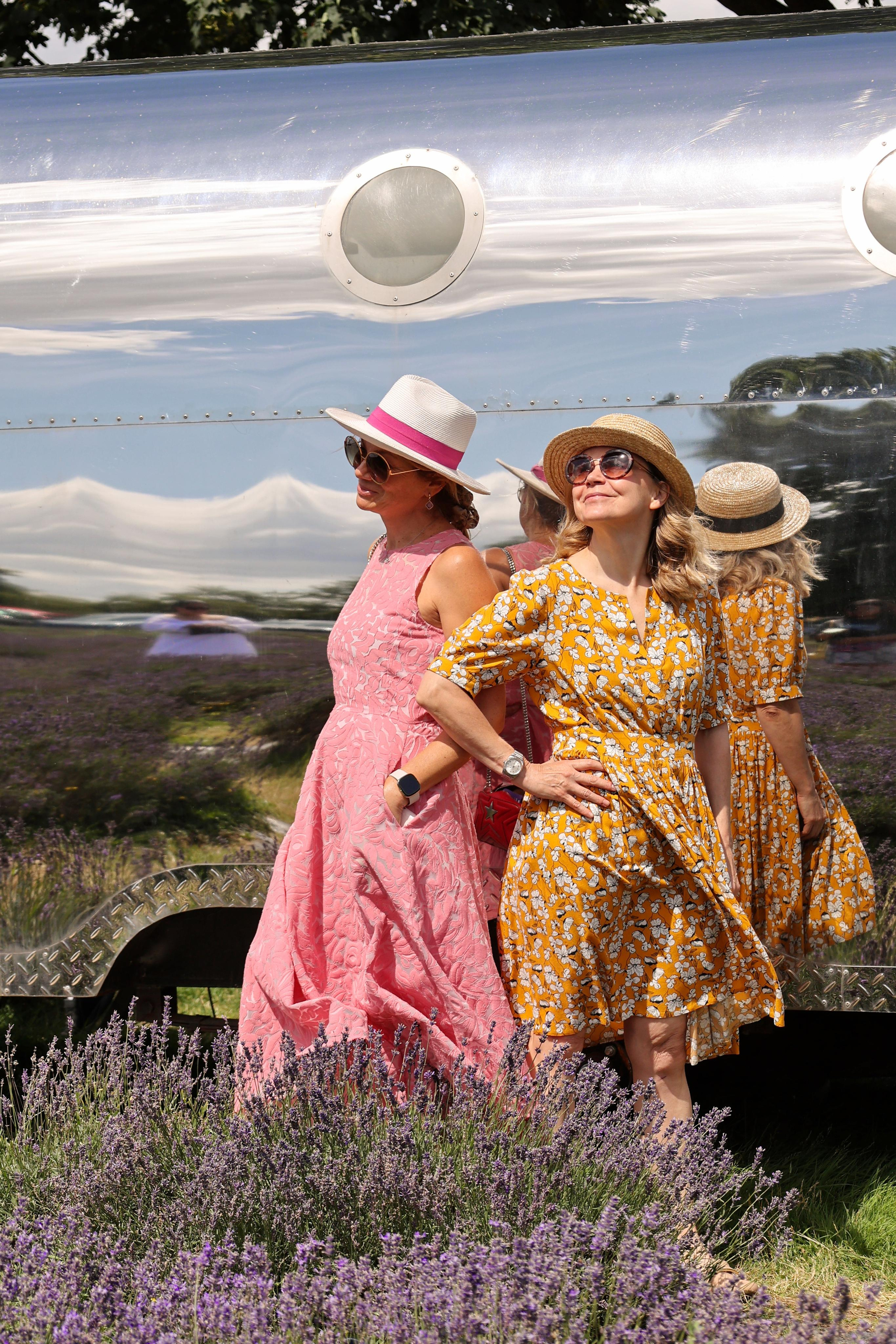 Lavender field, London. Couples and portraits photographer Wimbledon London