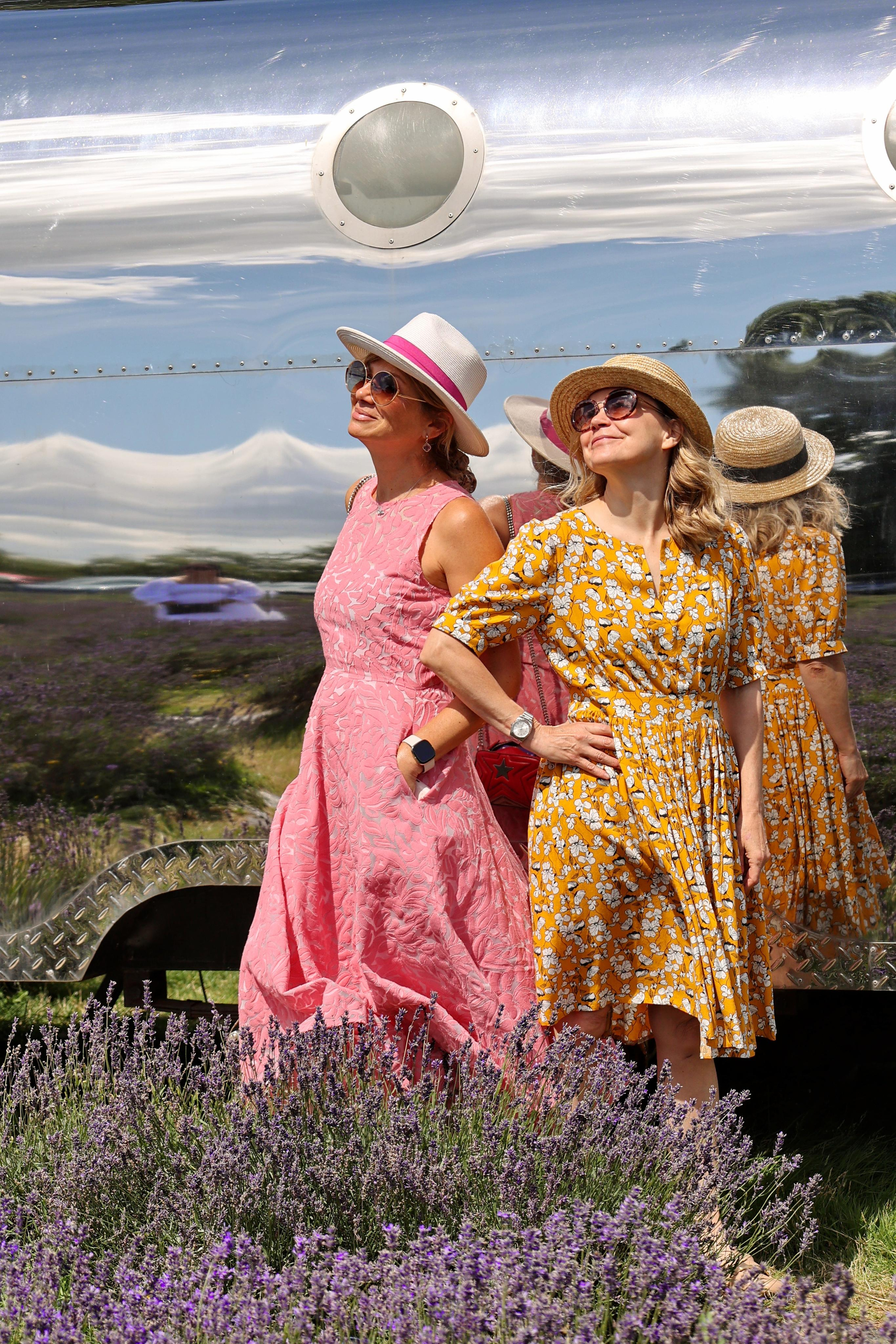 Lavender field, London. Couples and portraits photographer Wimbledon London