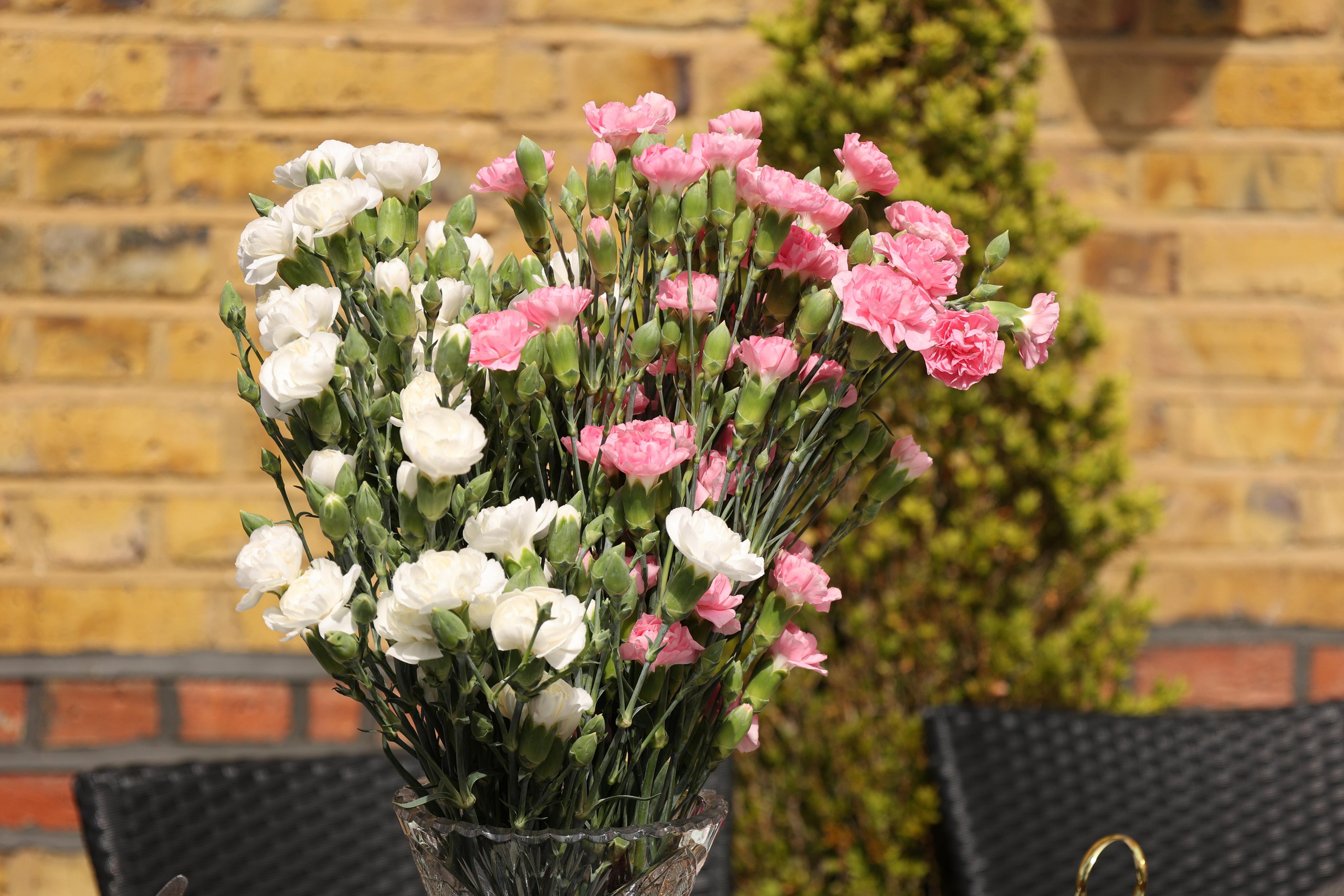 9 May, Wimbledon, London. Couples and portraits photographer Wimbledon London