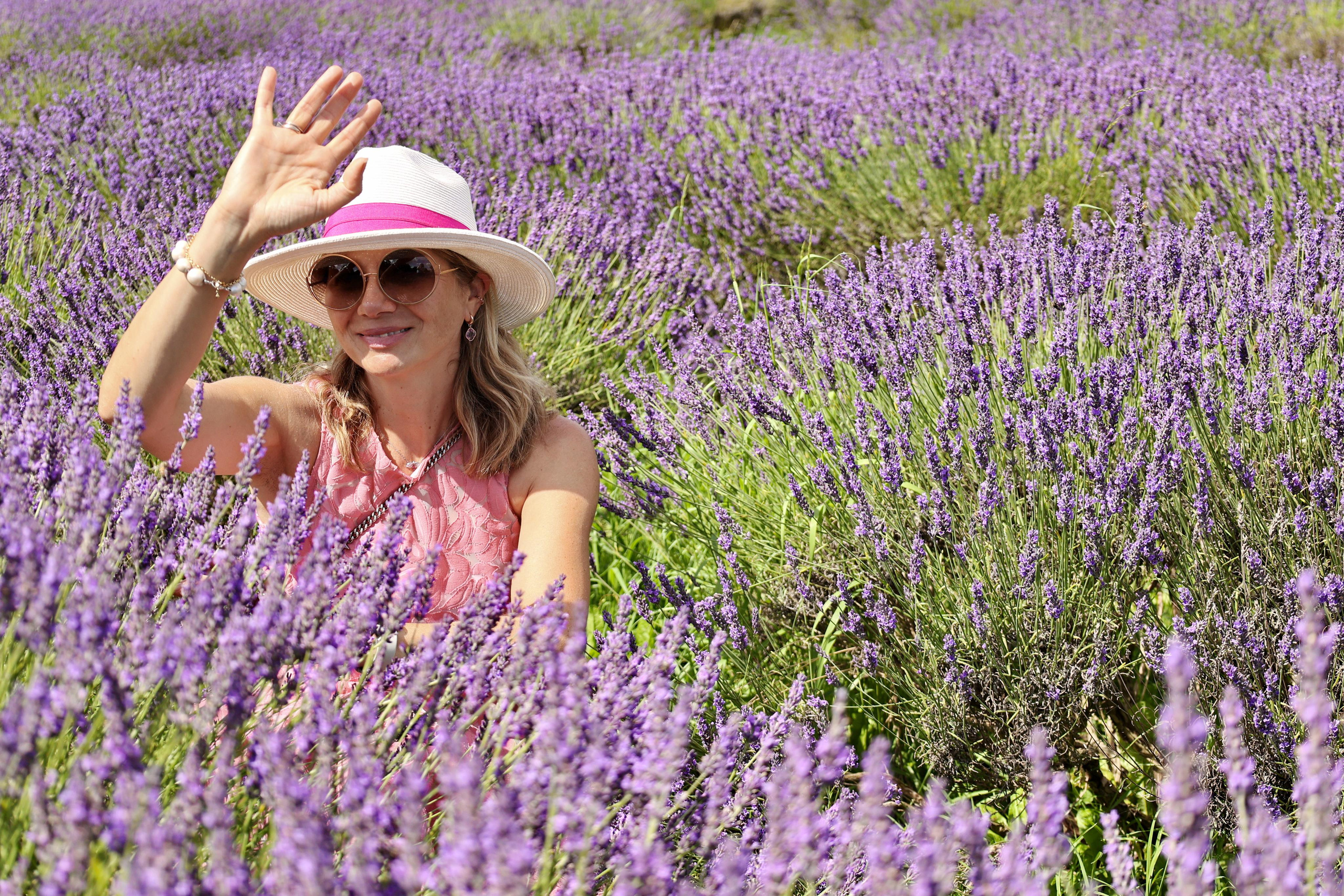 Lavender field, London. Couples and portraits photographer Wimbledon London