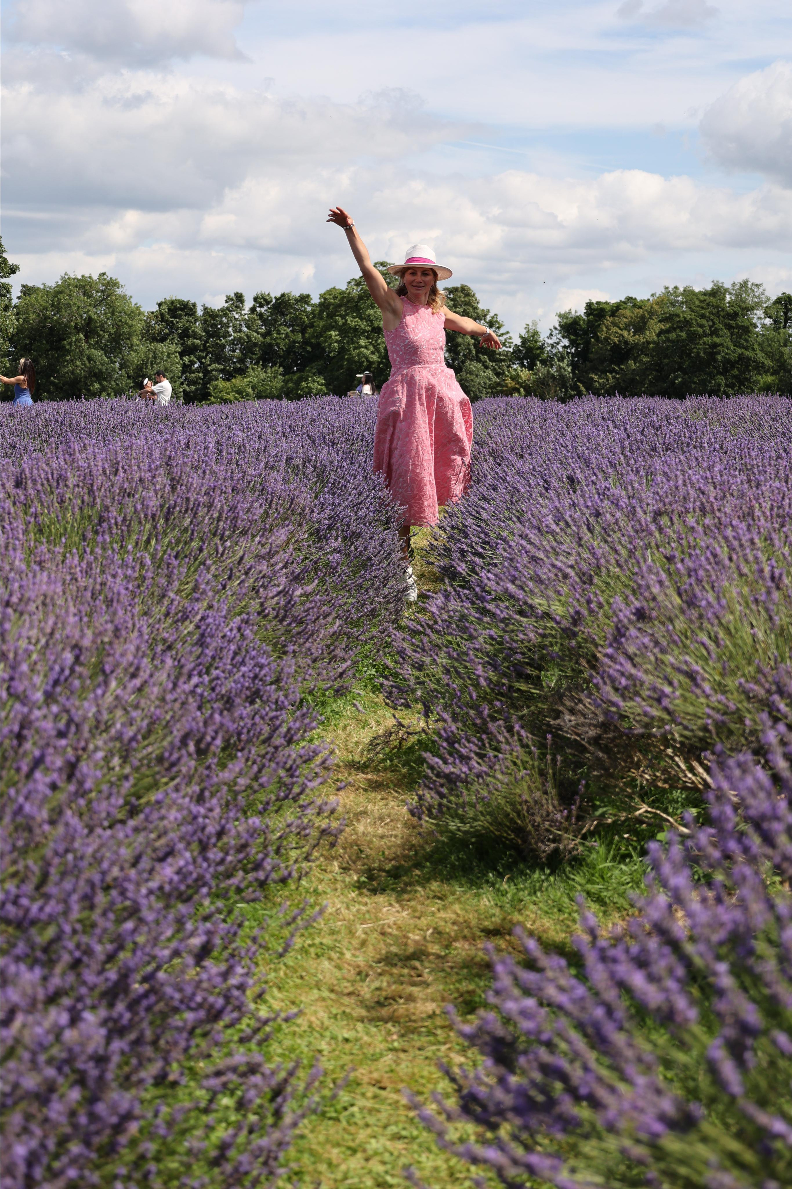 Lavender field, London. Couples and portraits photographer Wimbledon London
