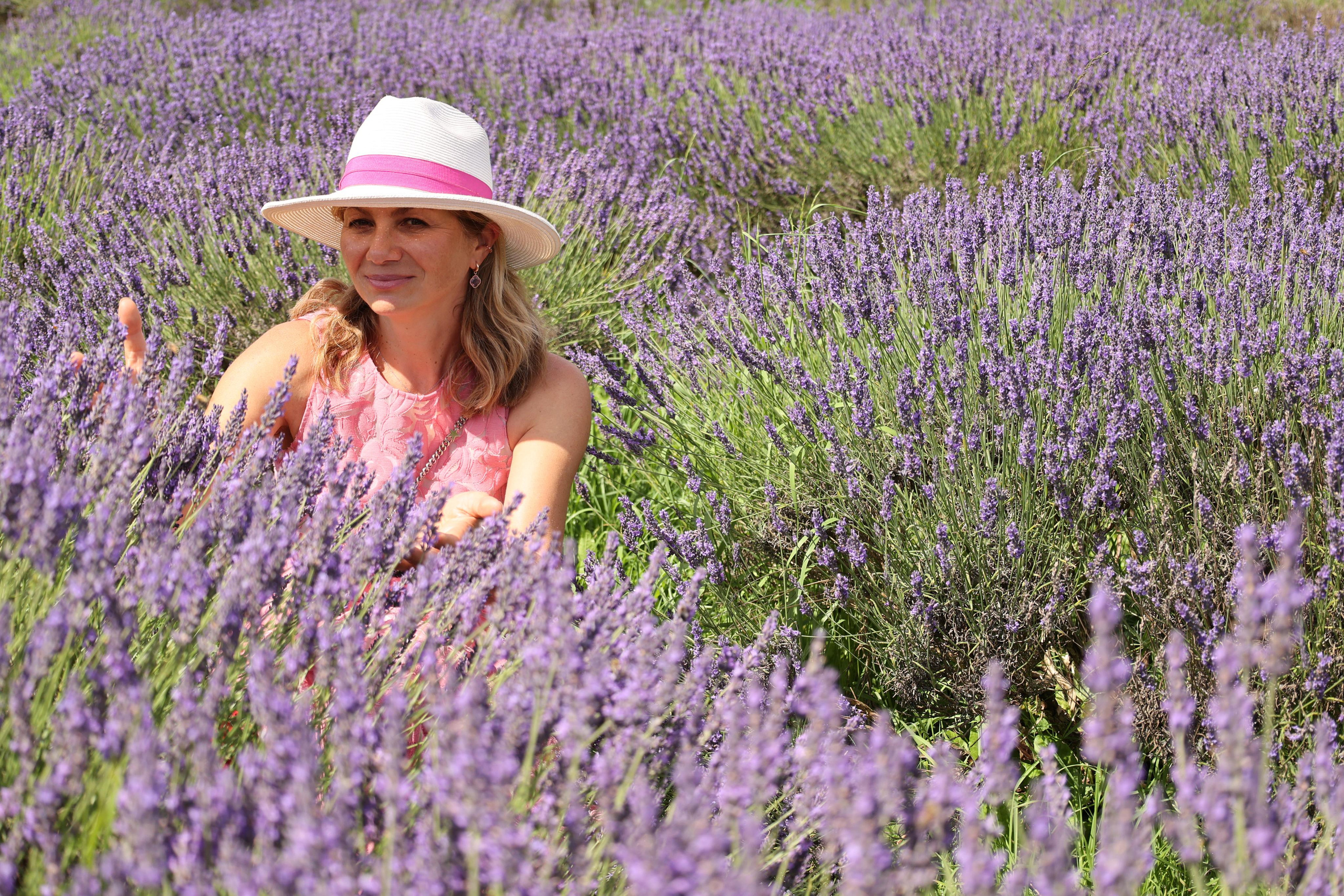 Lavender field, London. Couples and portraits photographer Wimbledon London