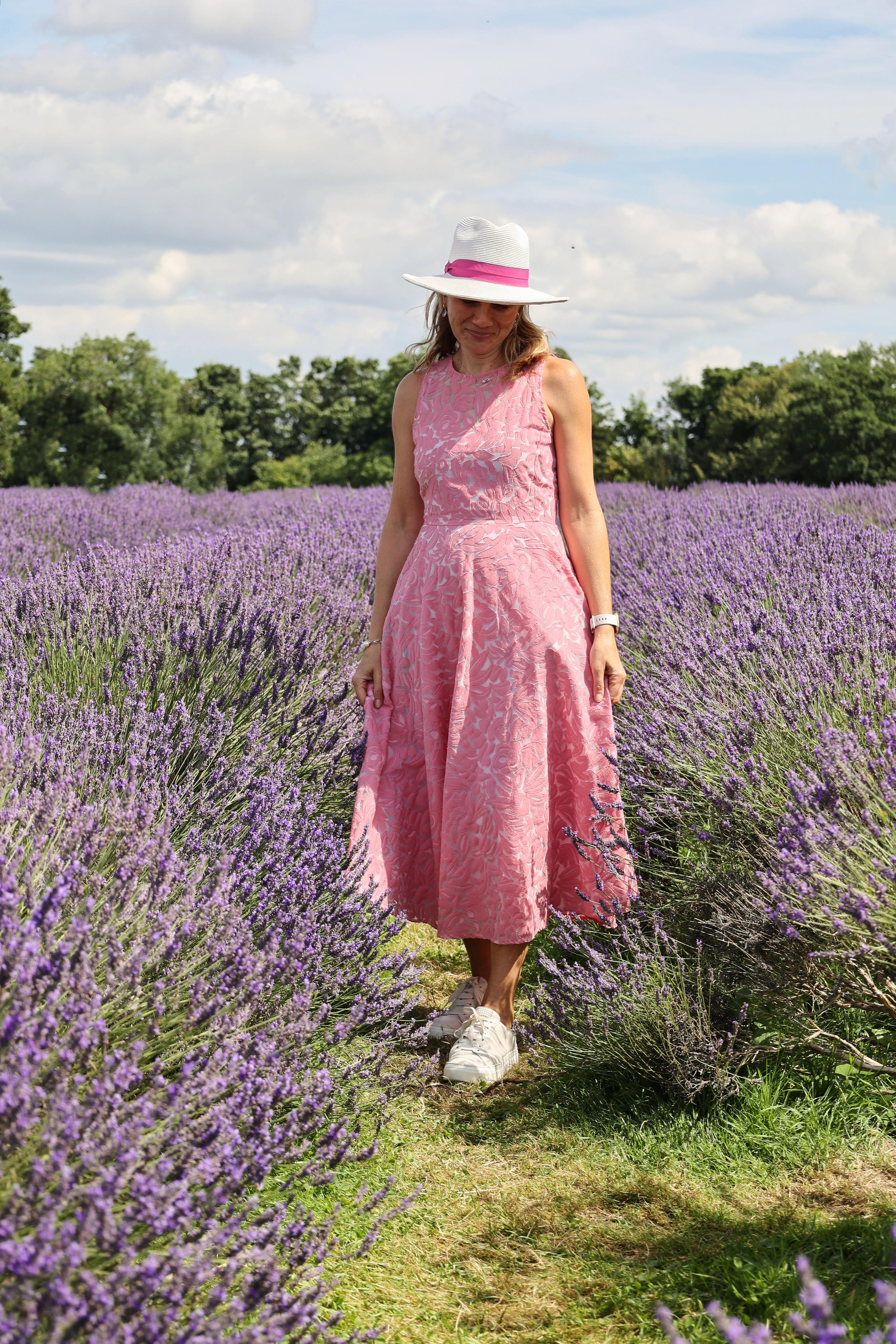 Lavender field, London. Couples and portraits photographer Wimbledon London