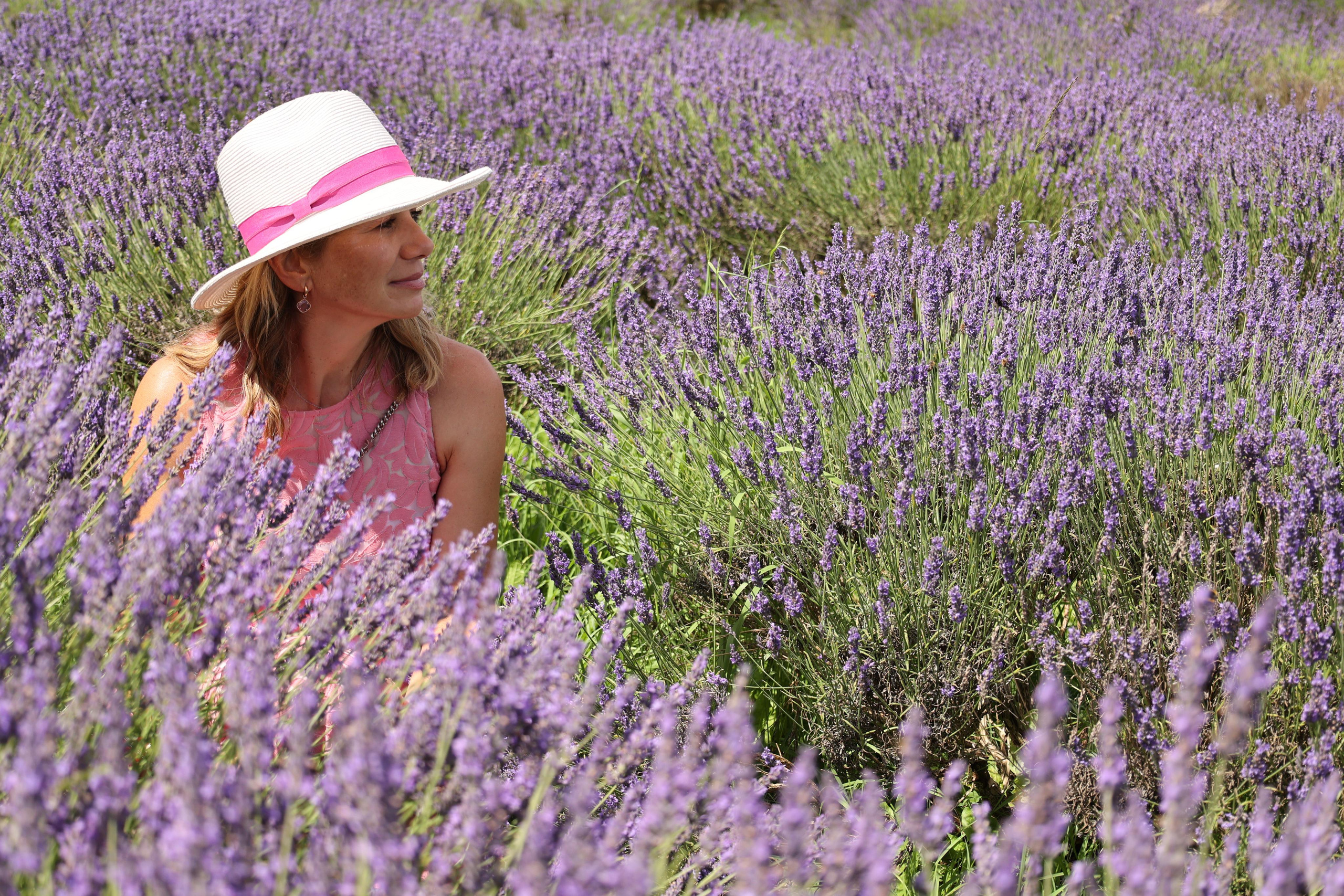 Lavender field, London. Couples and portraits photographer Wimbledon London