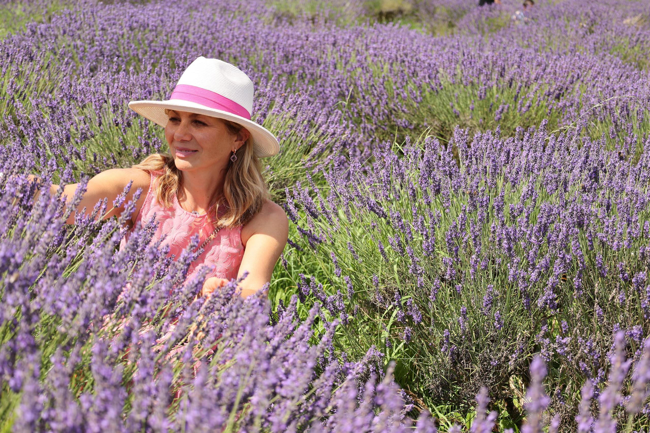 Lavender field, London. Couples and portraits photographer Wimbledon London