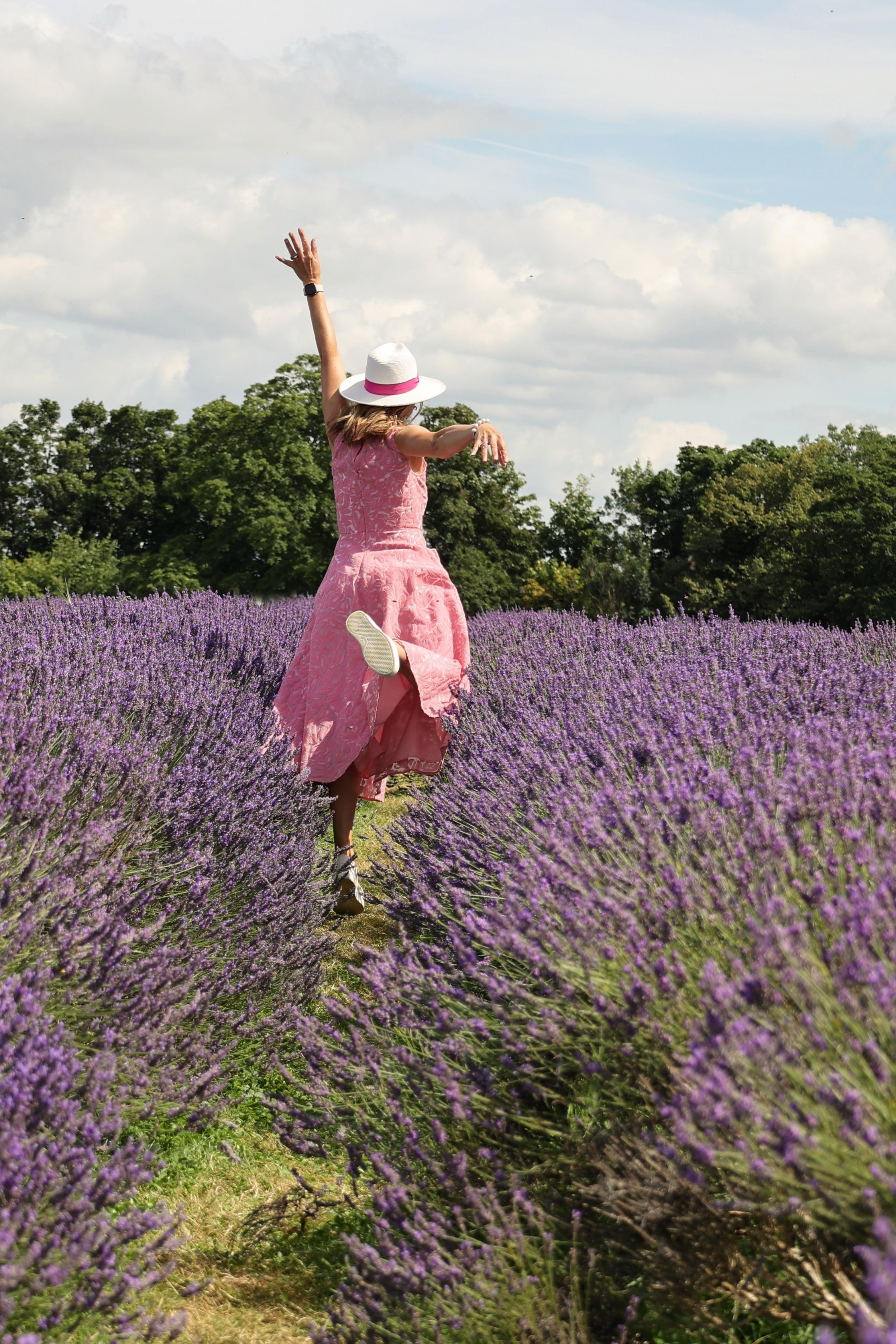 Lavender field, London. Couples and portraits photographer Wimbledon London