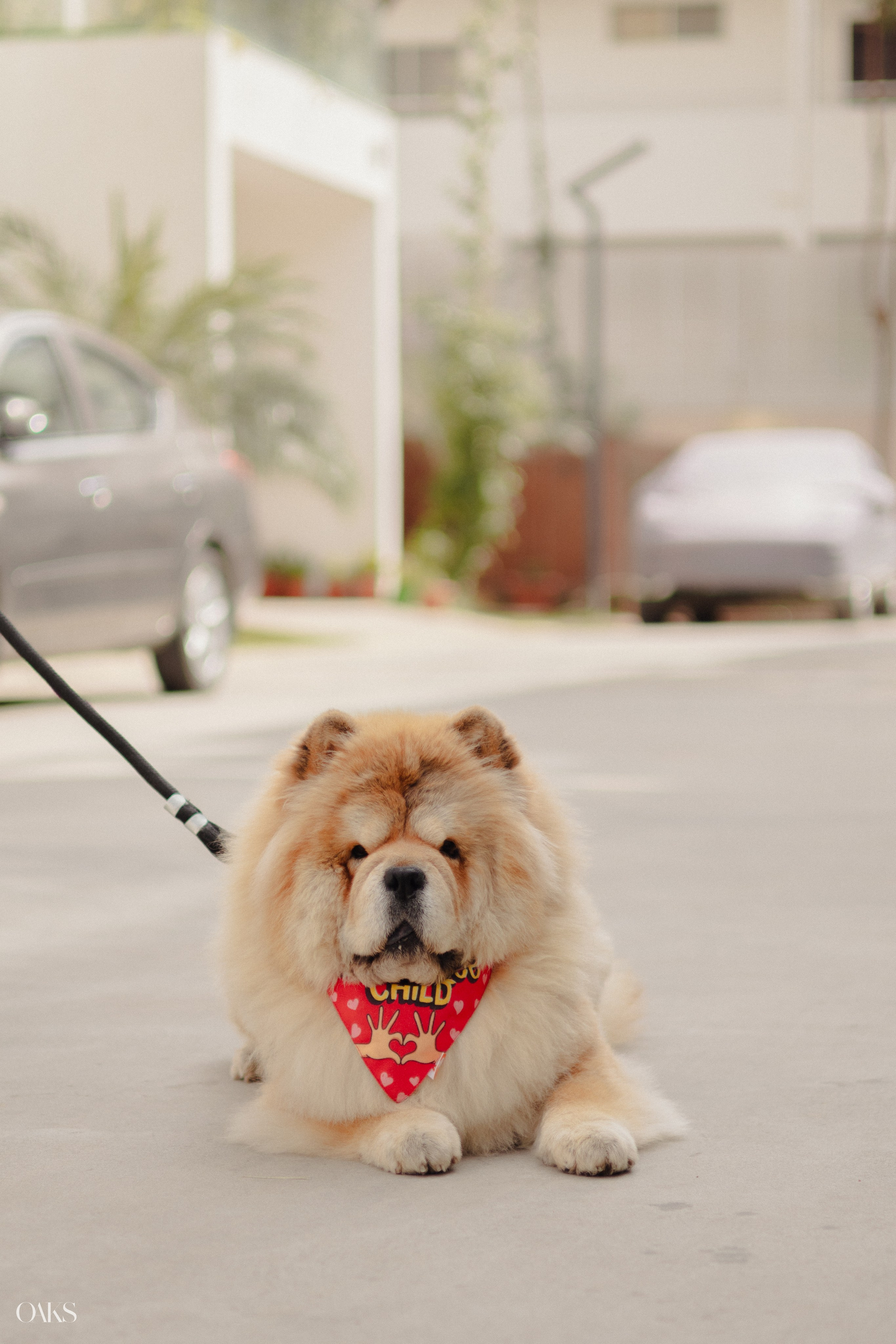 Prerna & Kunal. Wedding & Editorial Photographer | Anandshivadas