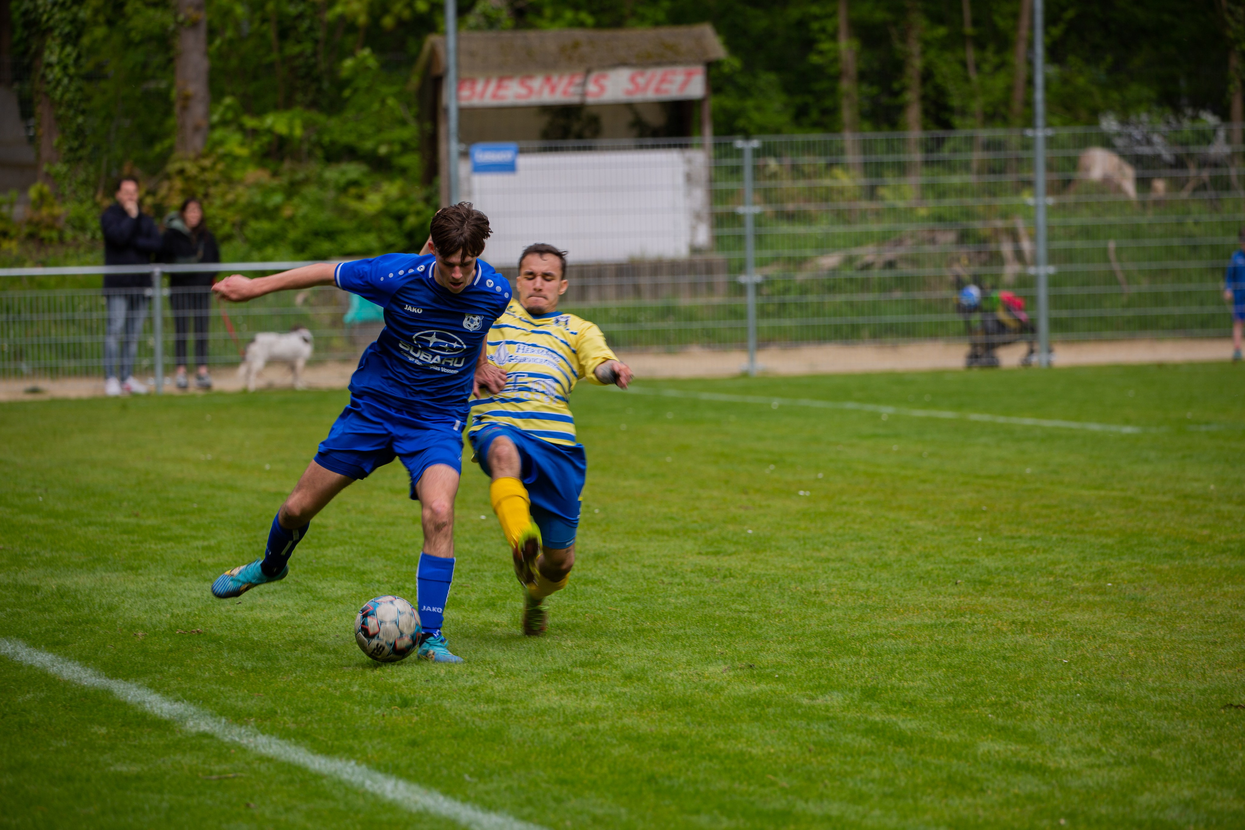 Sports. Family, portrait, and lifestyle photoshoots in Belgium