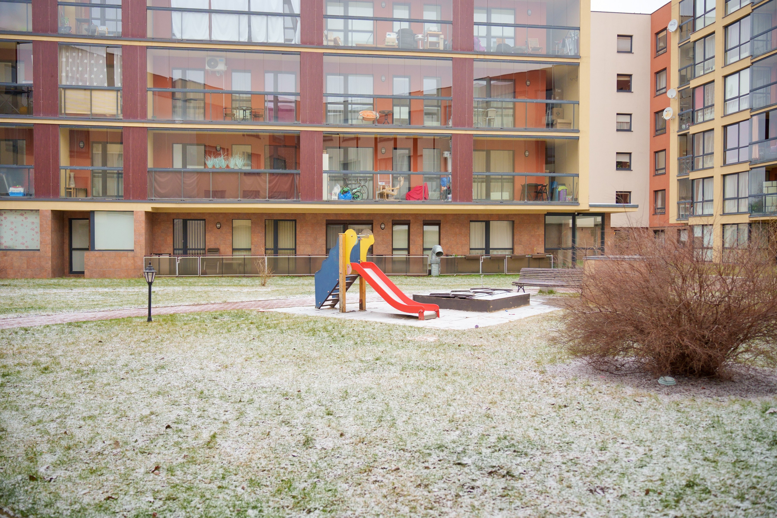 Bajorų kelias 1. Elina Sapiega fotografė Vilniuje