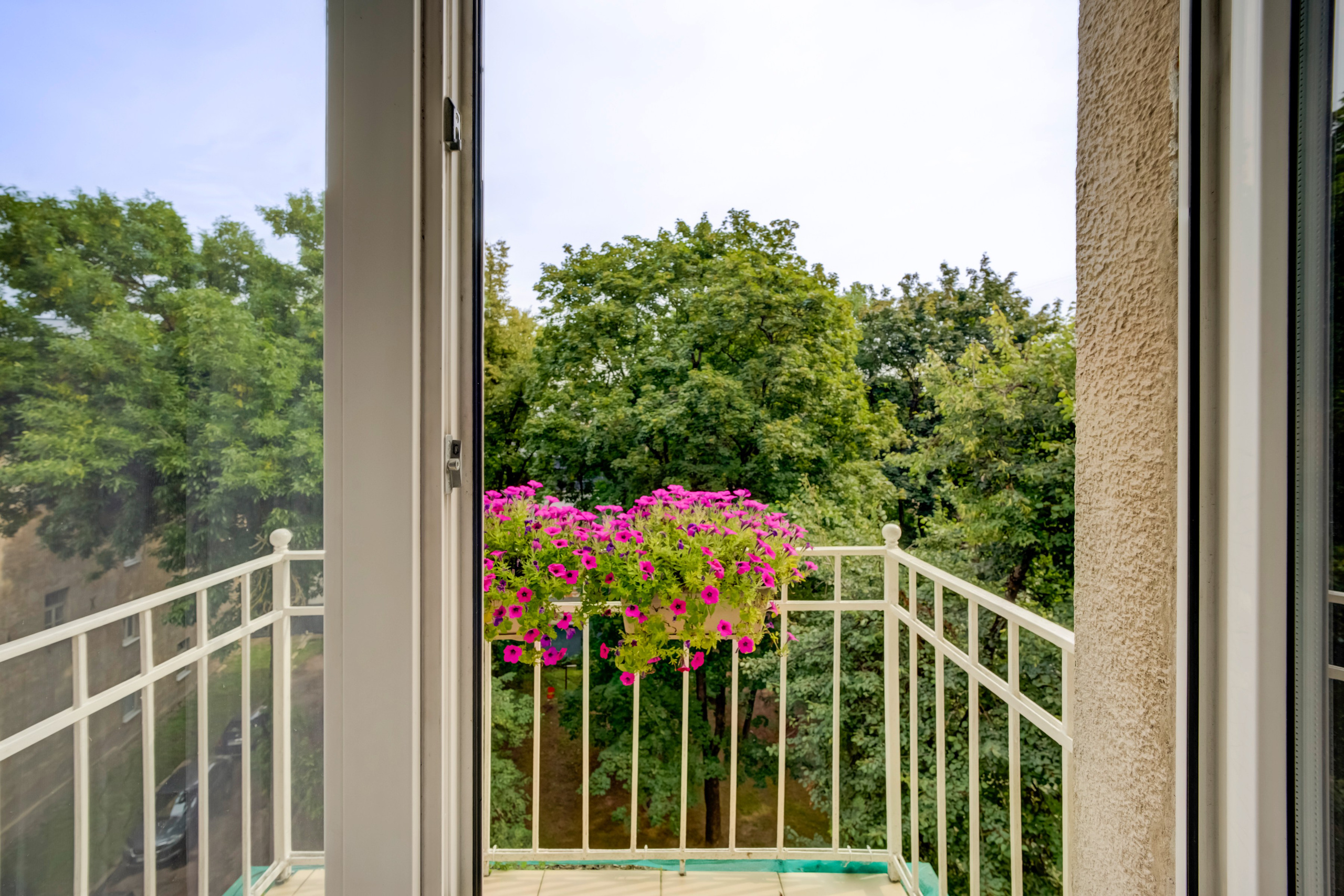 Pamėnkalnio g. 3. Elina Sapiega fotografė Vilniuje