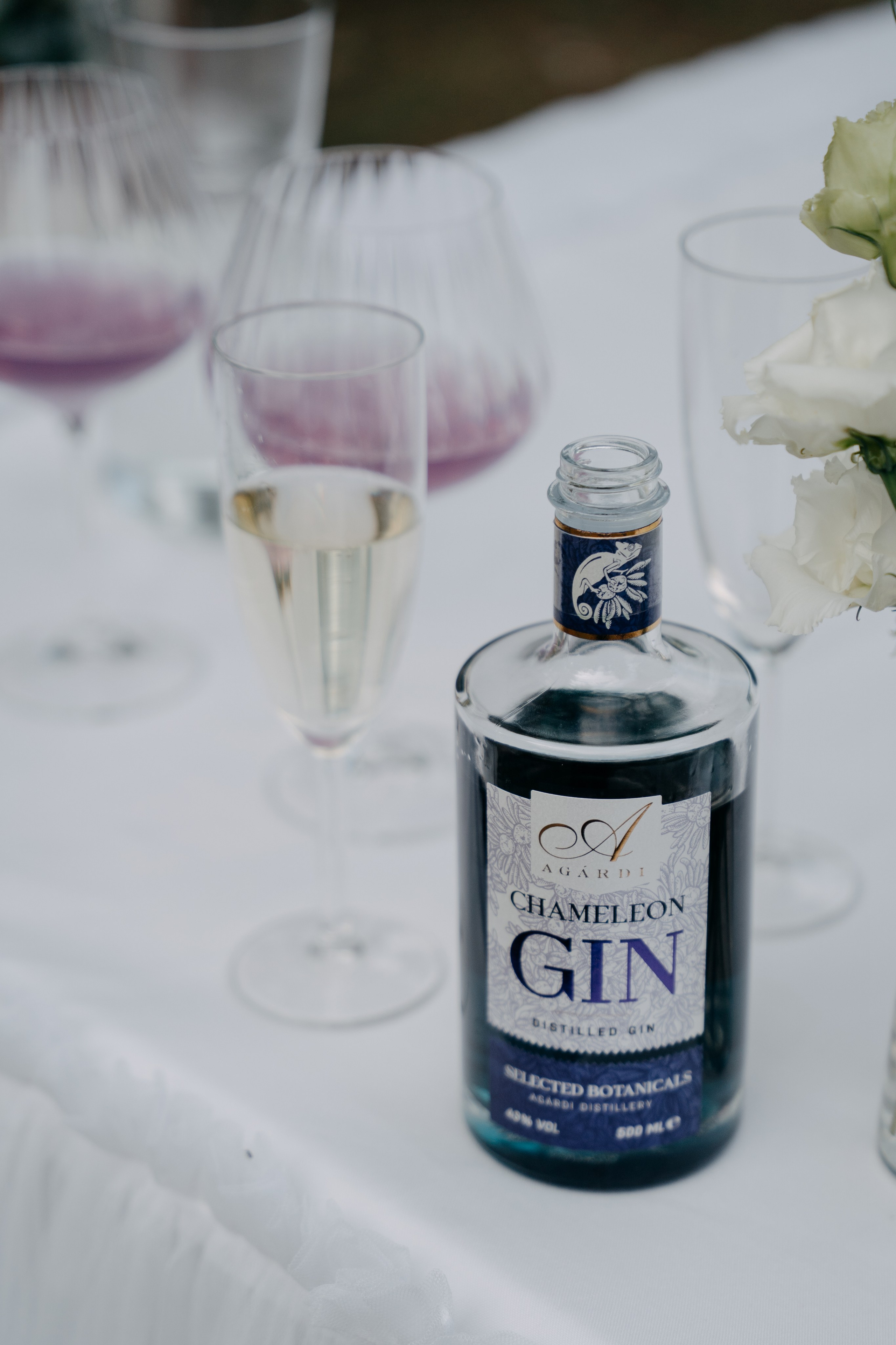 Vivi + Gábor. Csilla visuals