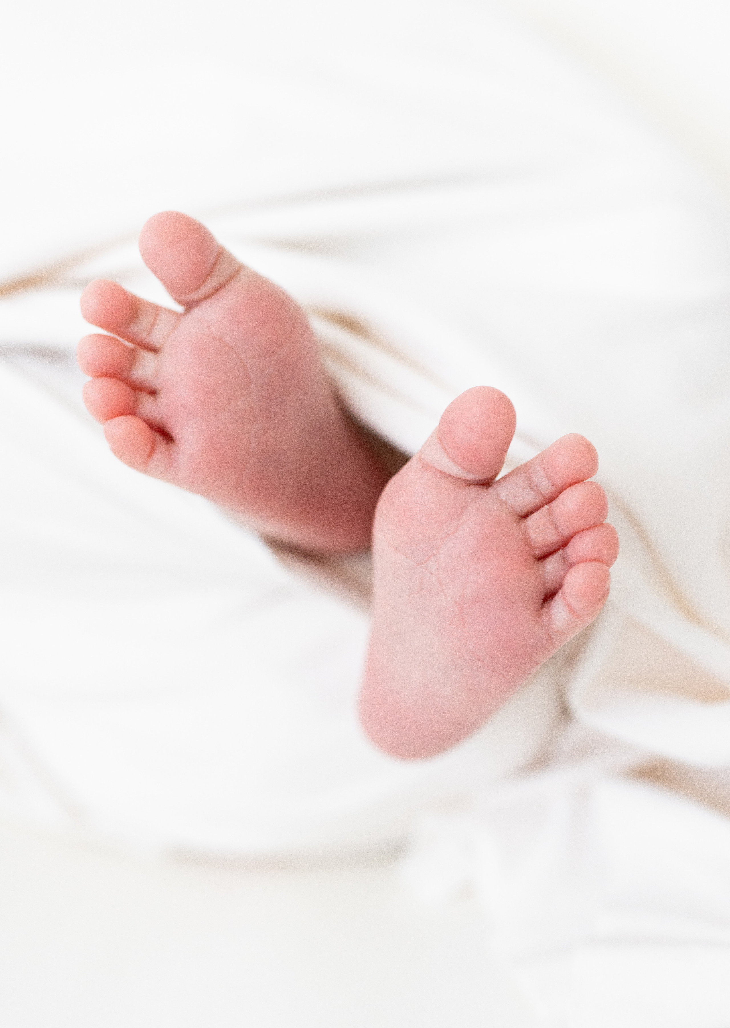 Prices and services. Family photographer in Sacramento | Sofia Pavenko