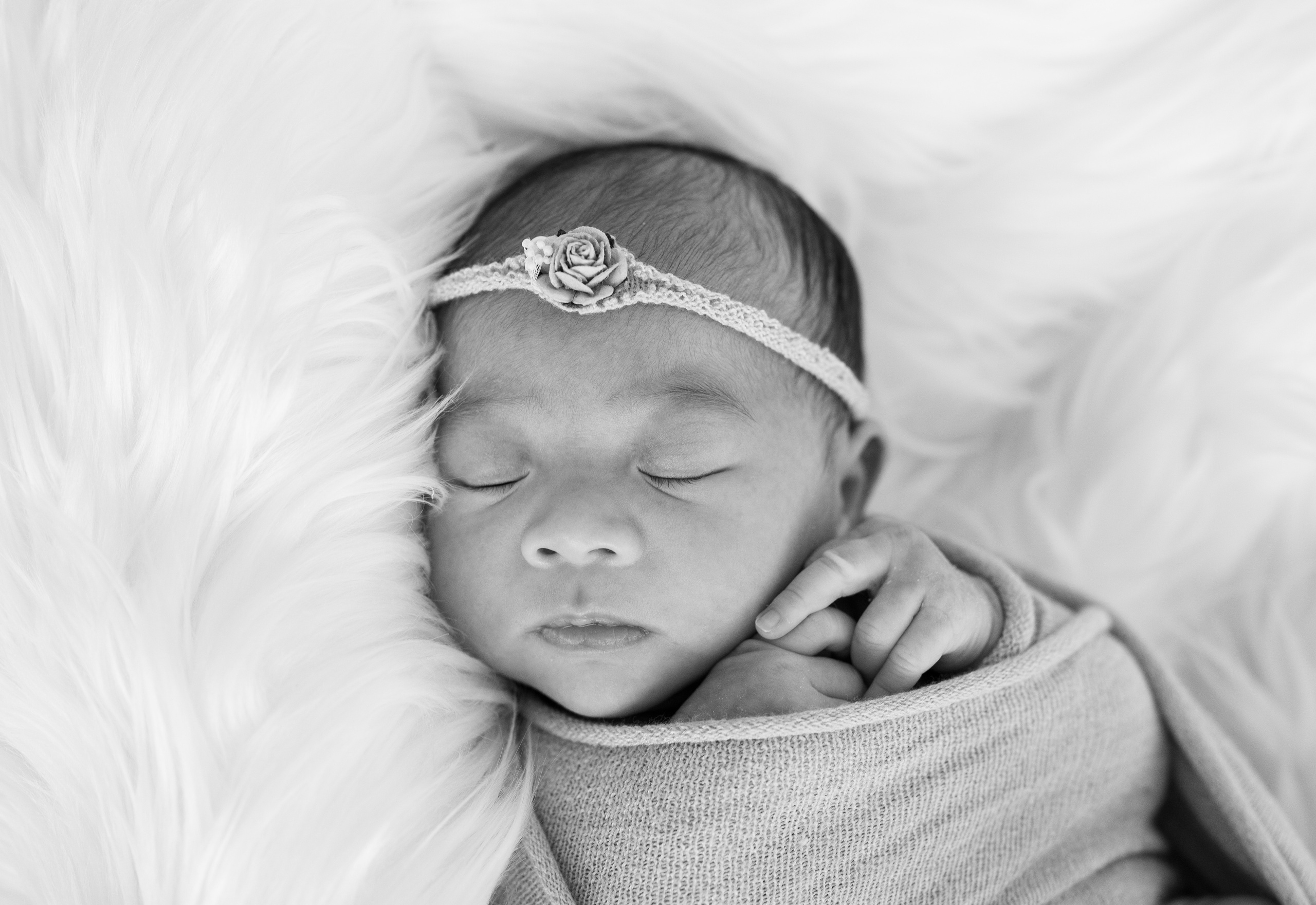 Prices and services. Family photographer in Sacramento | Sofia Pavenko