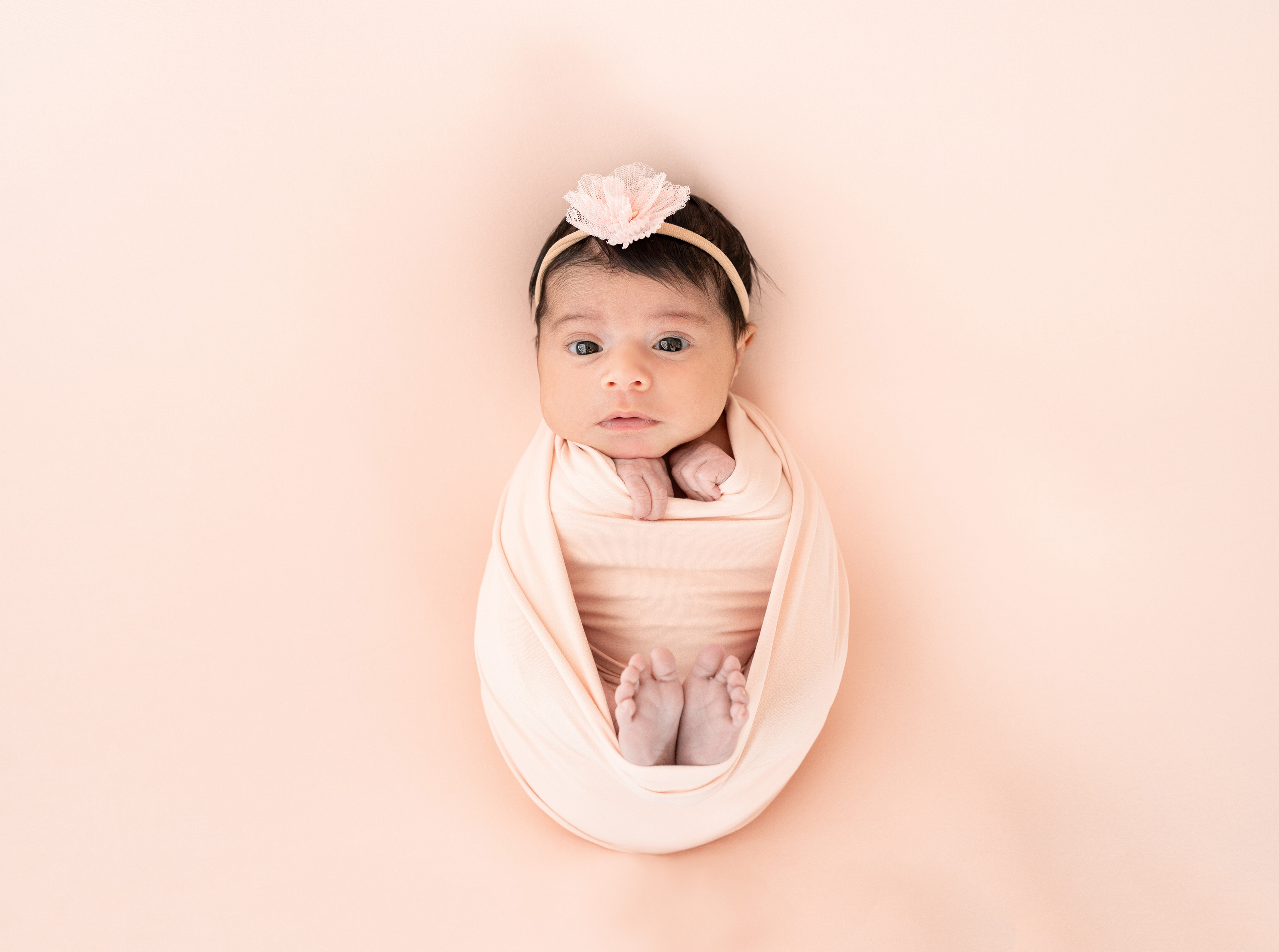 Prices and services. Family photographer in Sacramento | Sofia Pavenko