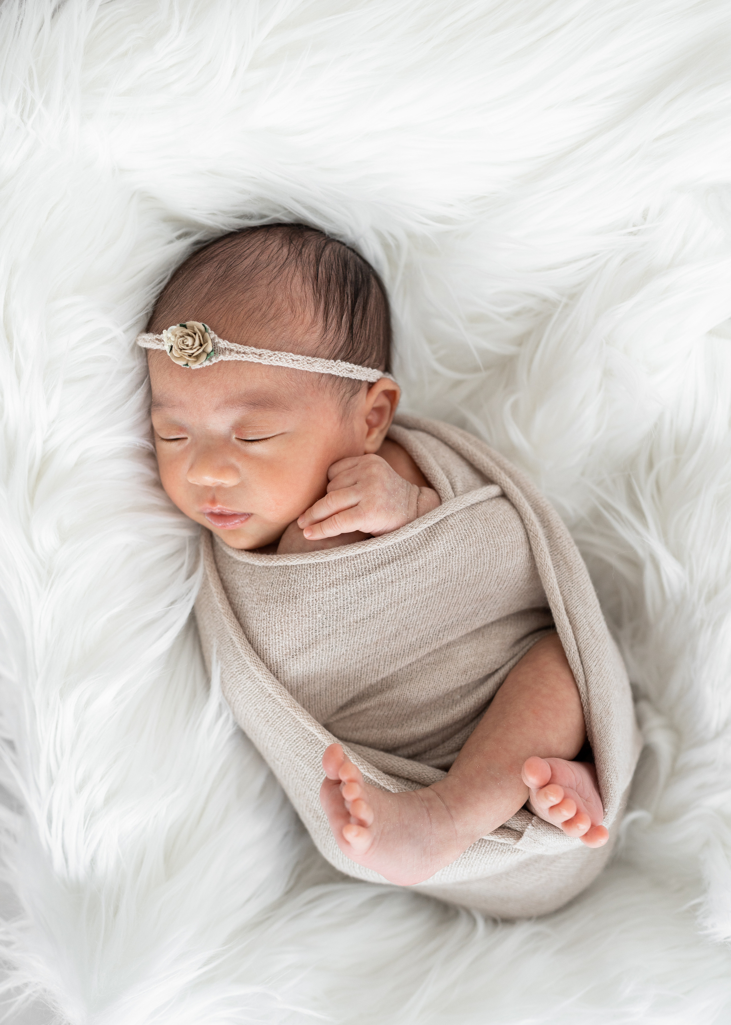 Prices and services. Family photographer in Sacramento | Sofia Pavenko