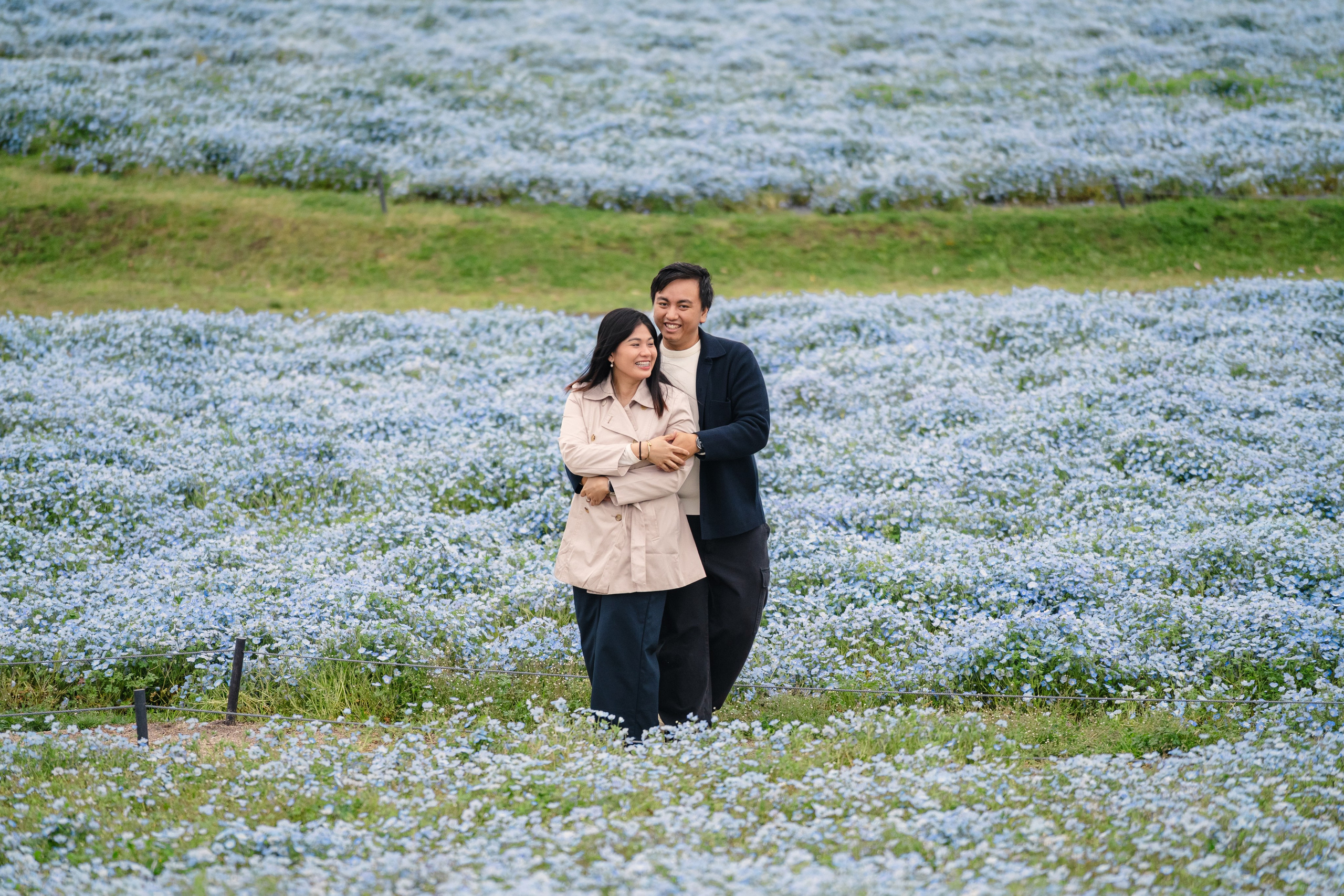 Nemophila Flower Photoshoot Uminonakamichi | Korean Drama Style Portraits Fukuoka. Portrait Photographer in Fukuoka, Japan | Alina Nazarova