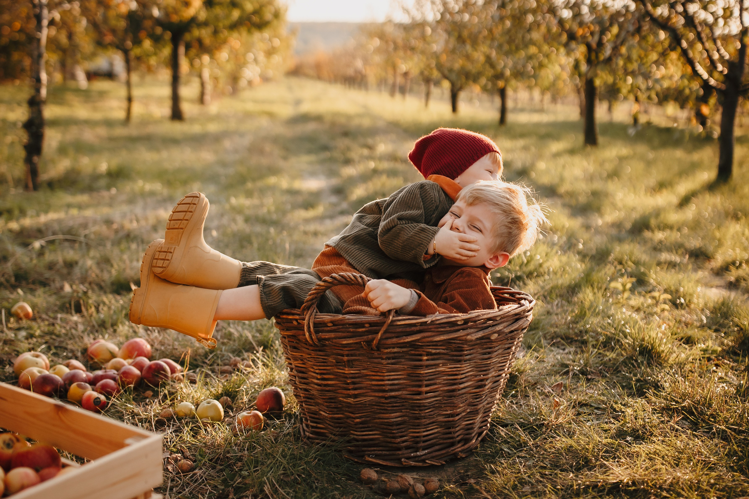 Toamna in livada. Fotograf de eveniment din Buzău | Bogdan