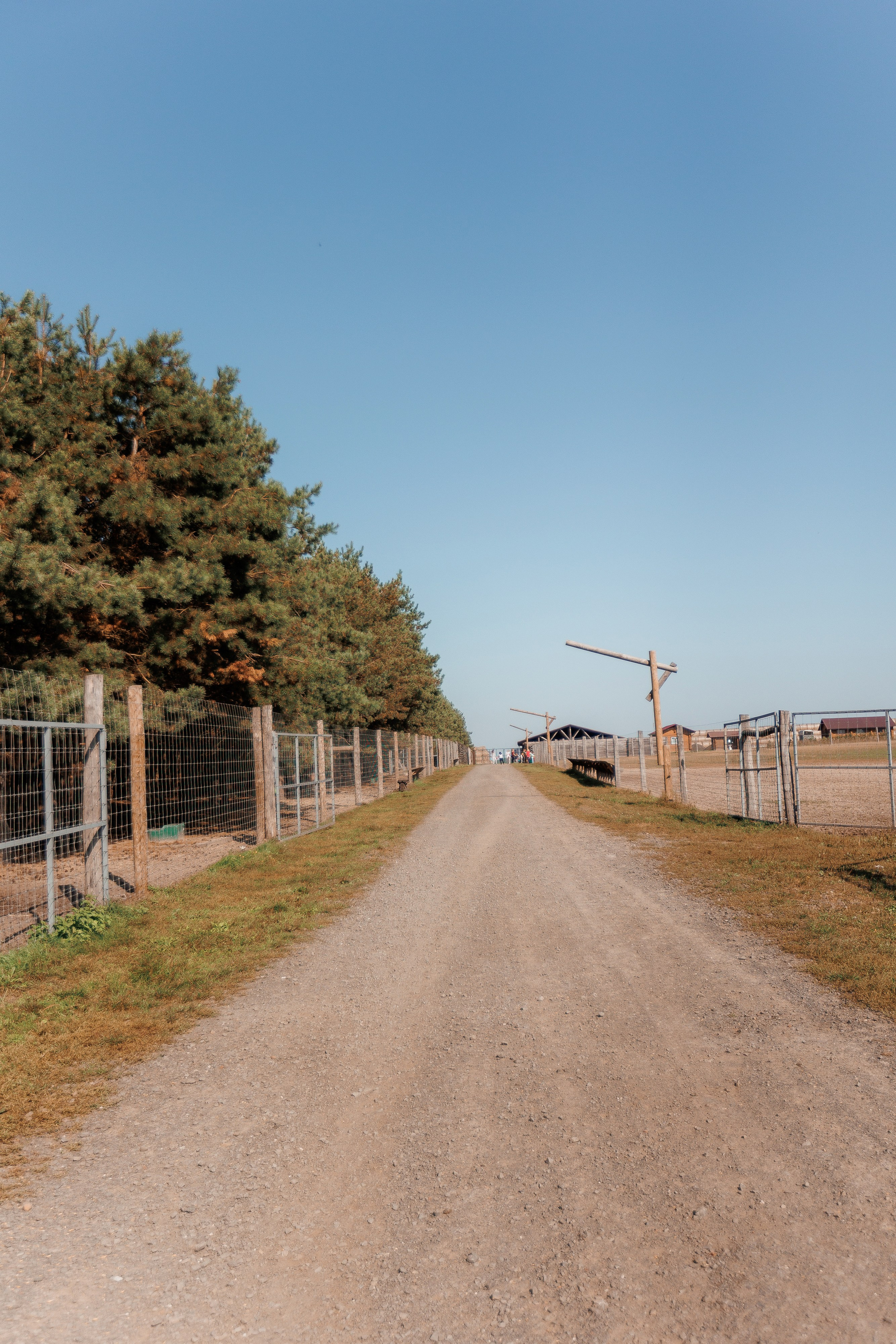 Екопарк Аміла. Ірина Терещук