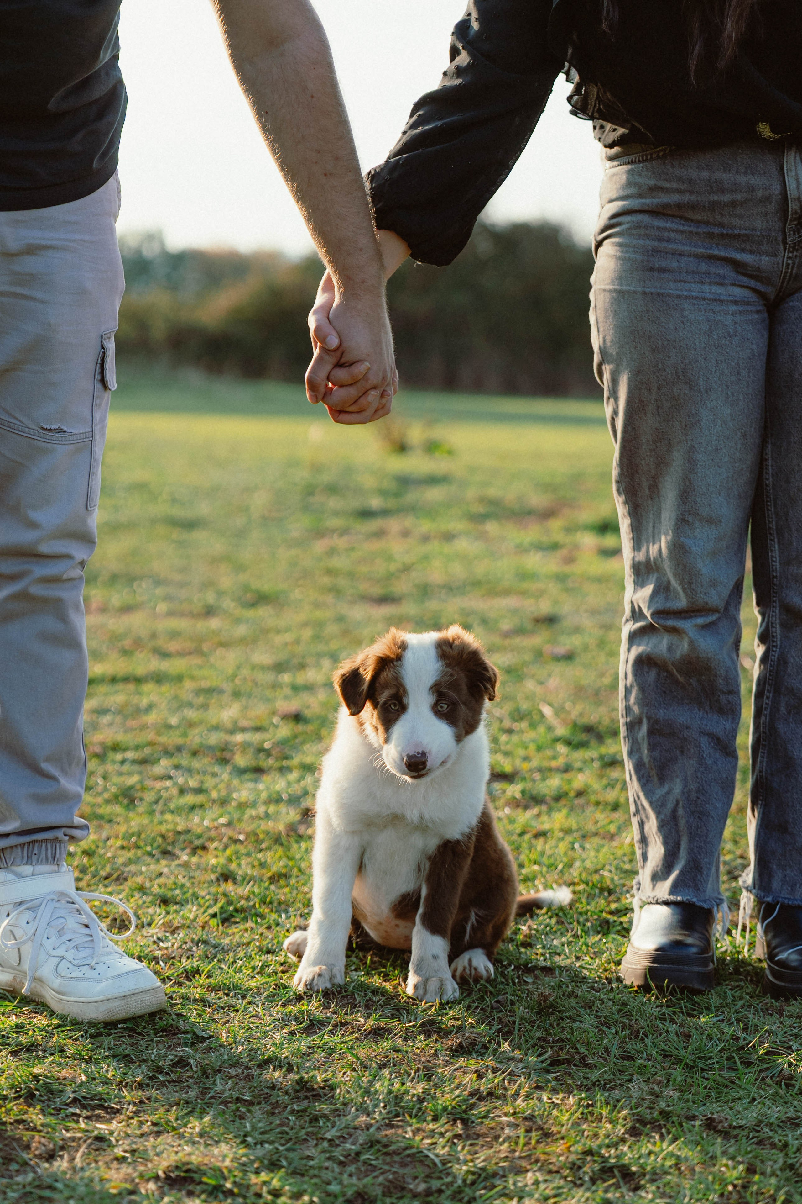 Victoria & Mehdi. Weeding photographer / event / portrait