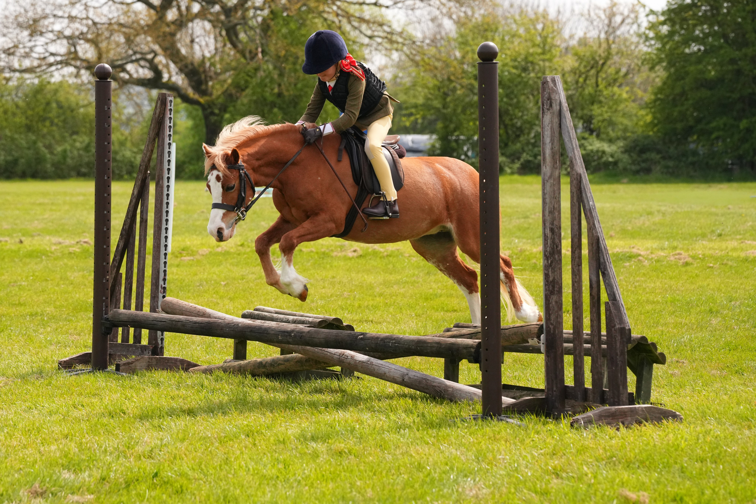 Show Jumping Photography in Leicestershire | Equine Action Shots by El. Leicestershire Equine Photography by El | Authentic Equine Portraits & Events