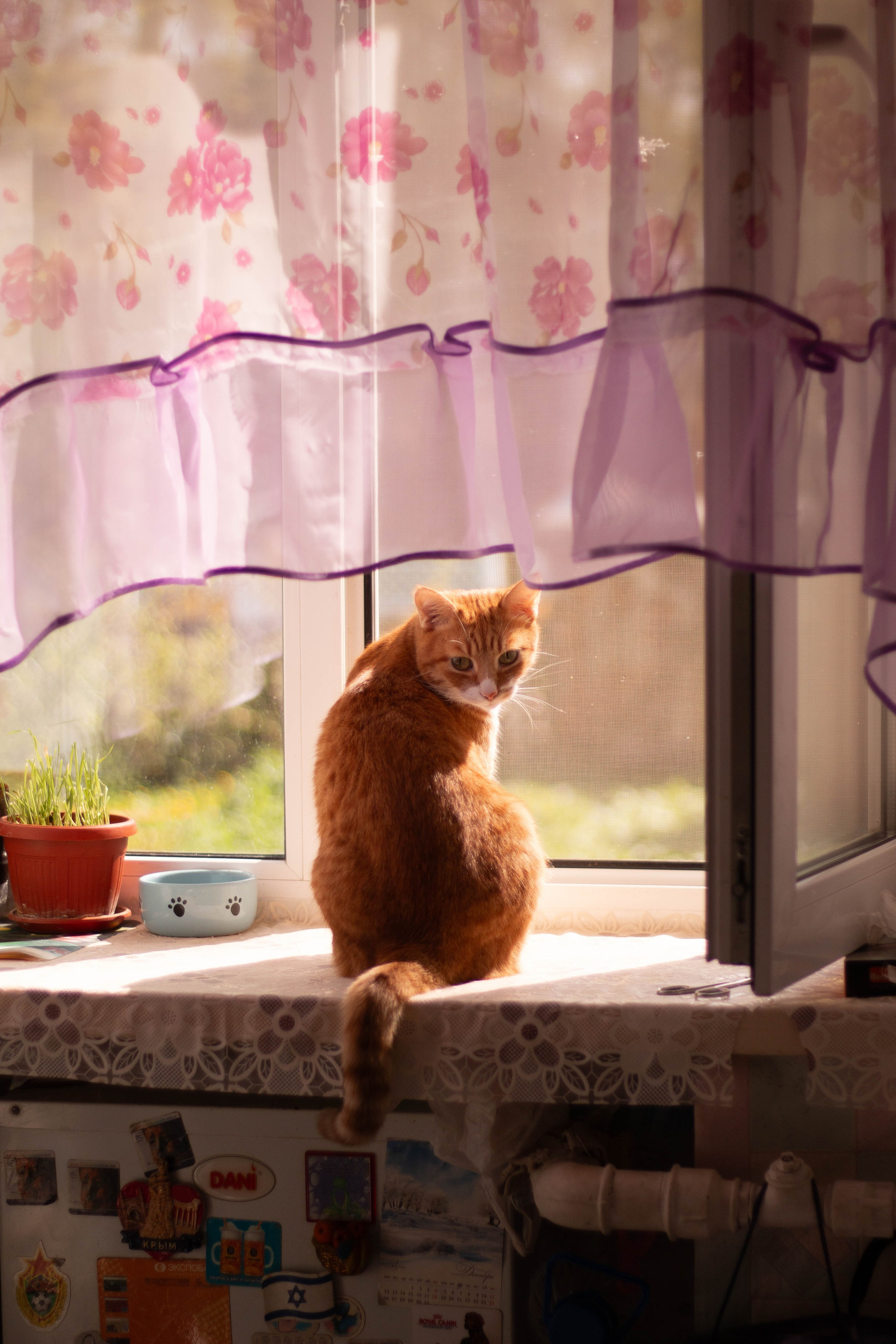 Mother Russia 22. Kseny Kolesnik Photography