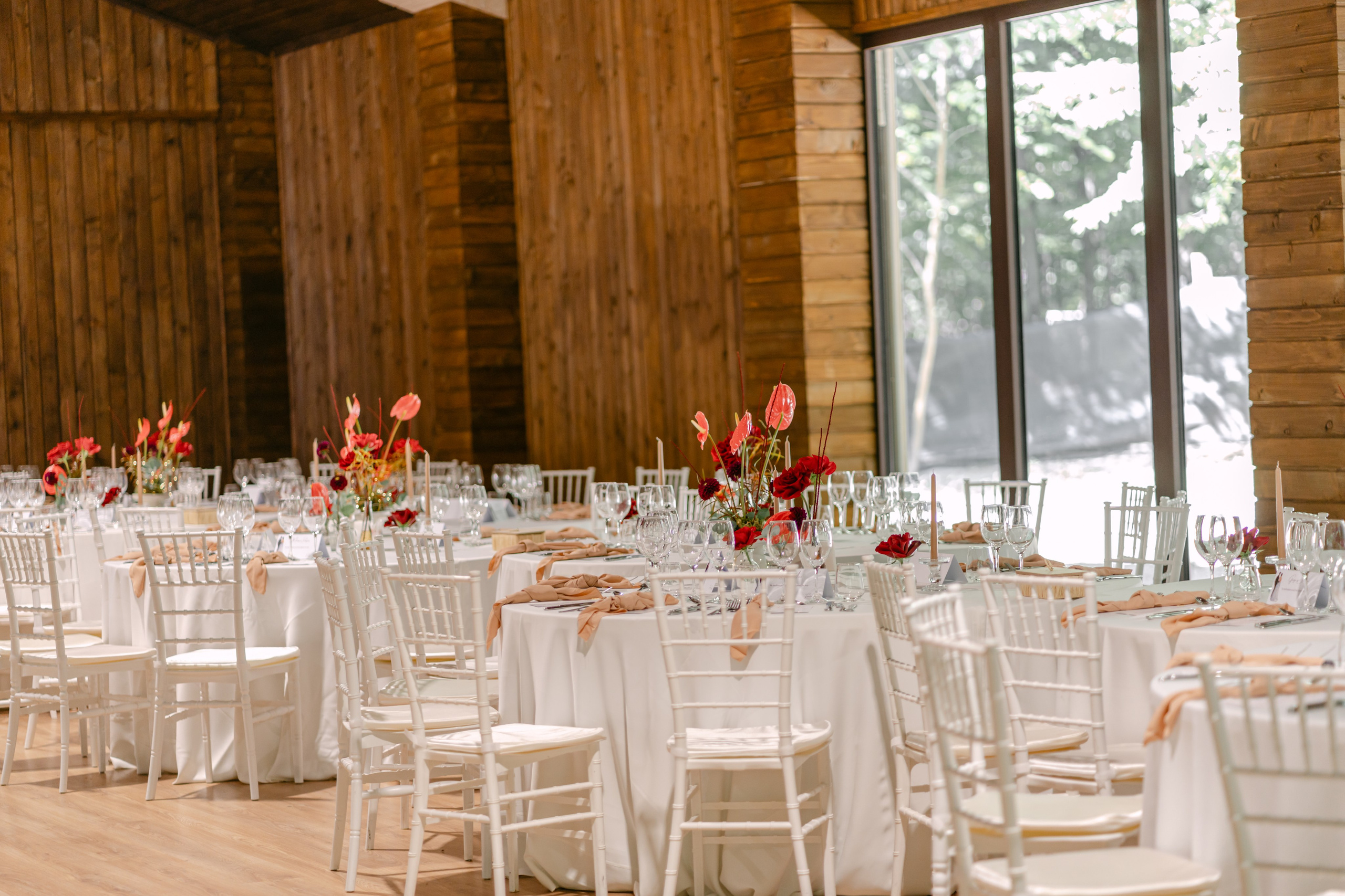 Corina | Alex. Gabrielacojocariu.com