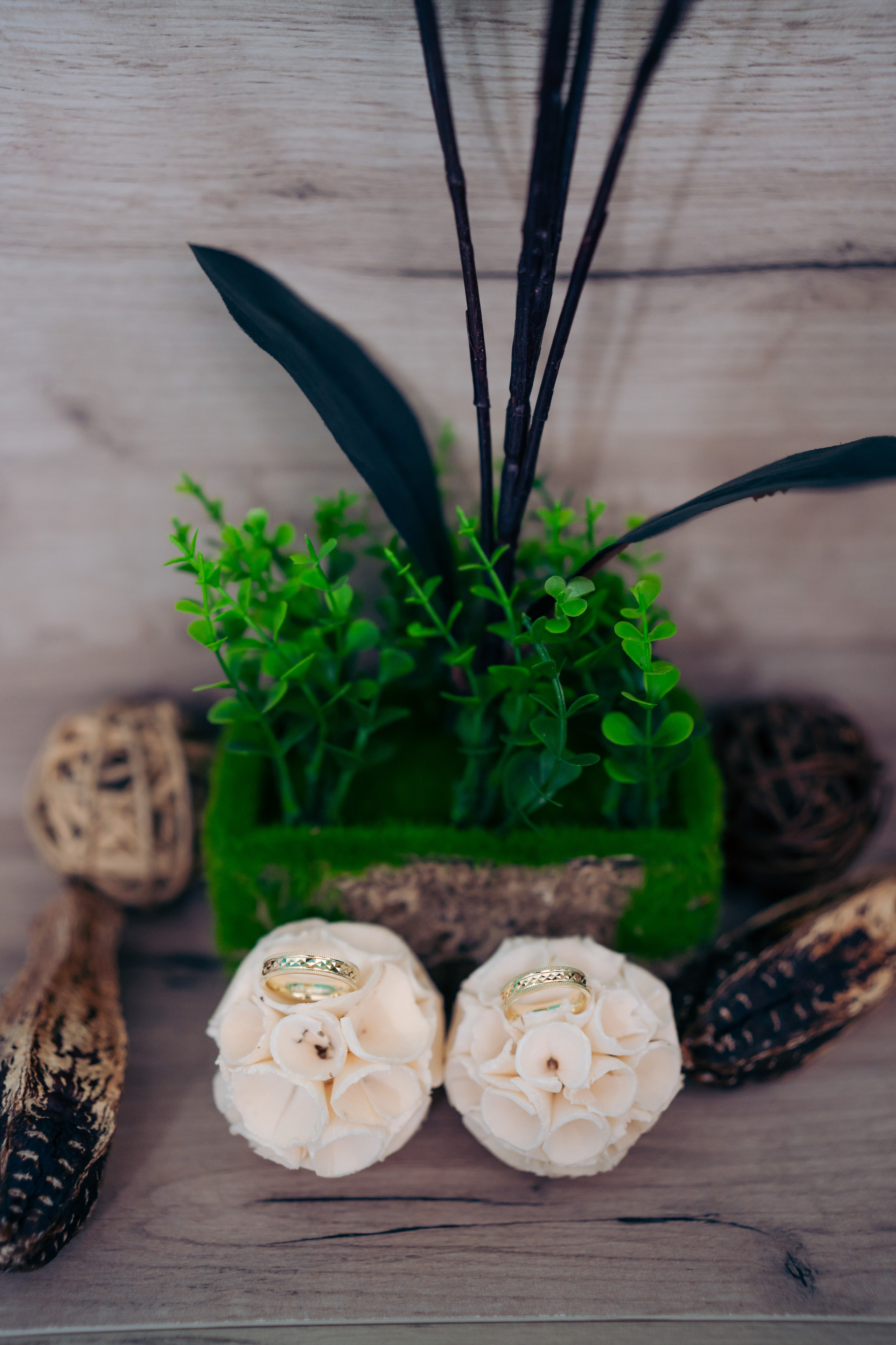 Crina & Stefan. CC Photography \ Fotograf Profesionist \ Evenimente