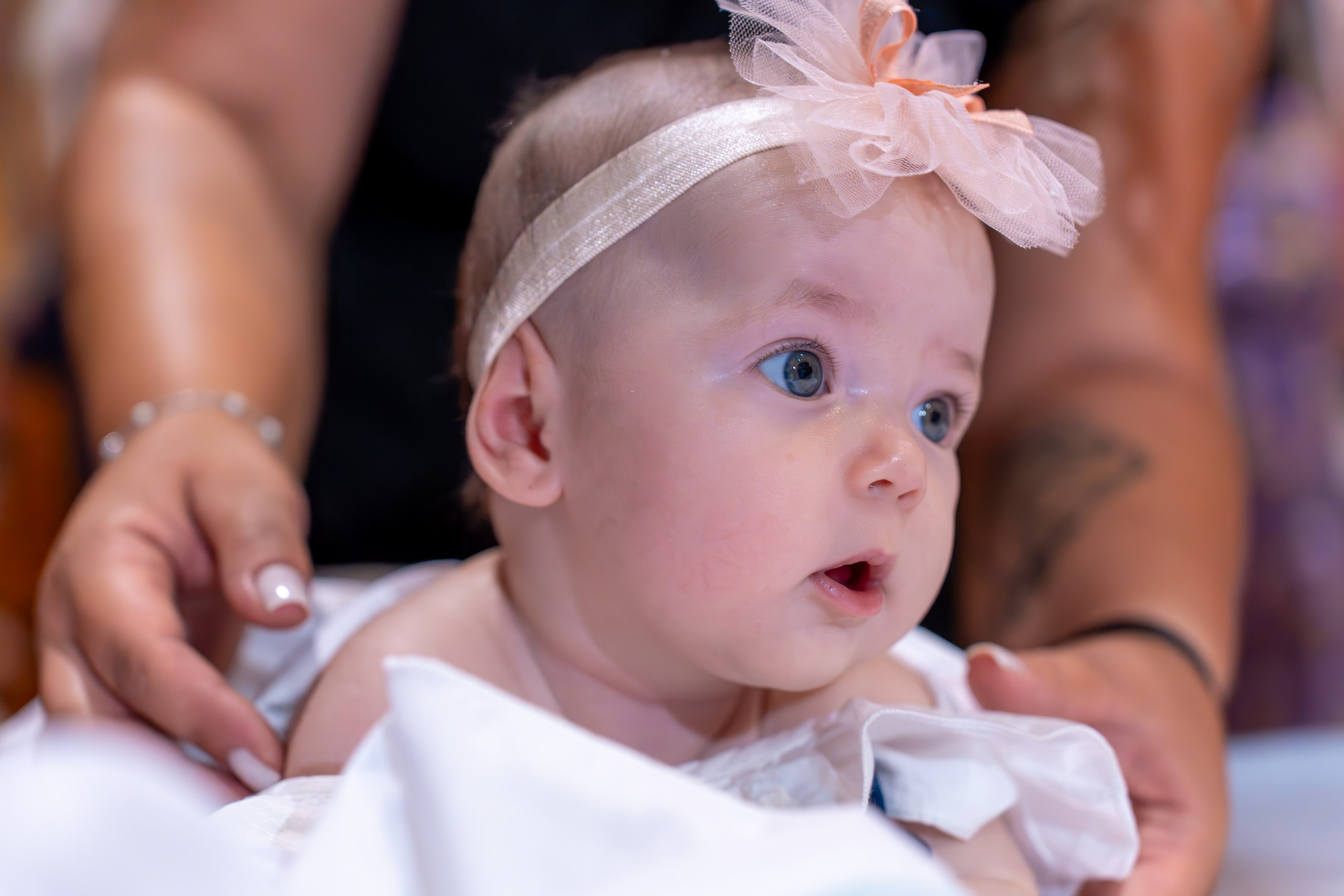 ✨ Portofoliu Botez ✨. Murgeanulucian