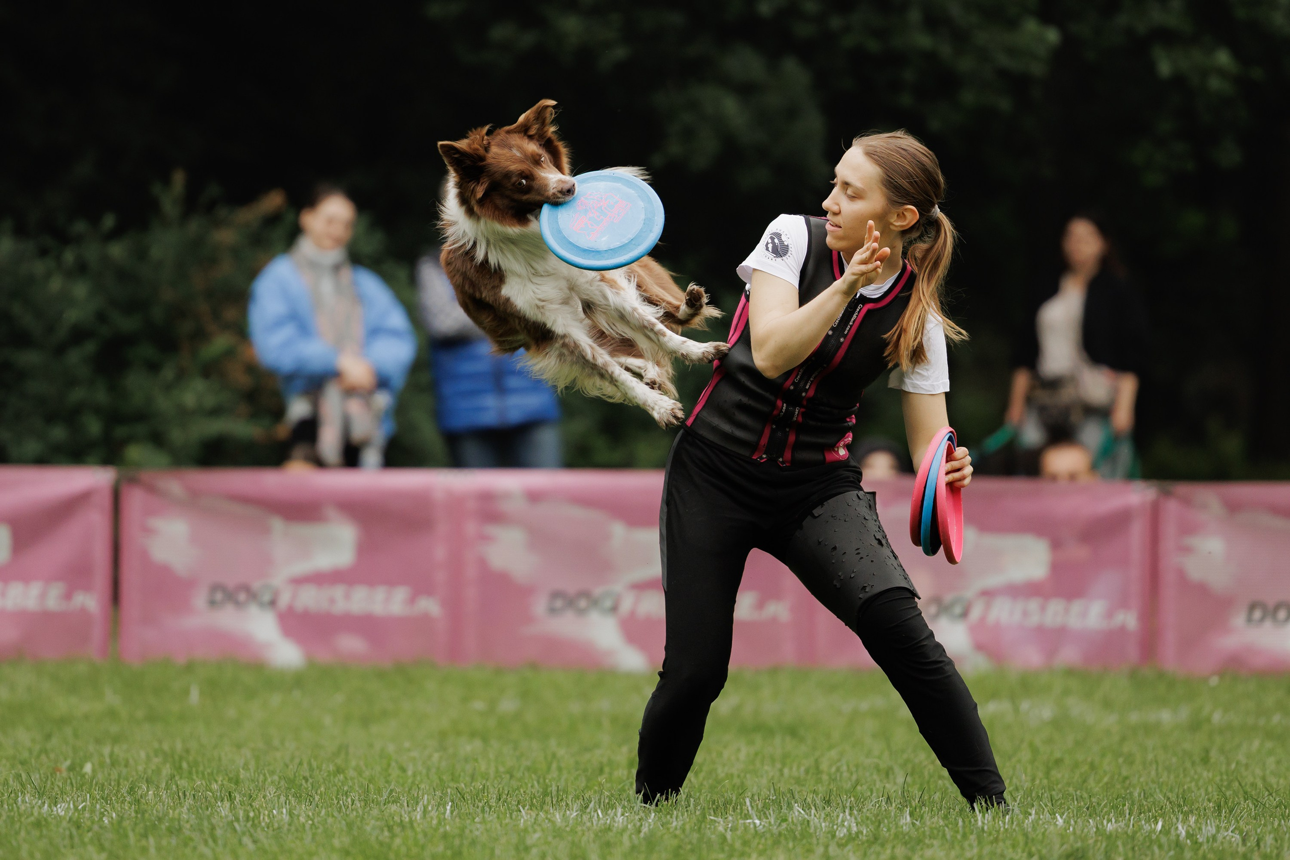 Latające psy, Wrocław'25. Kaja | fotograf psów we Wrocławiu