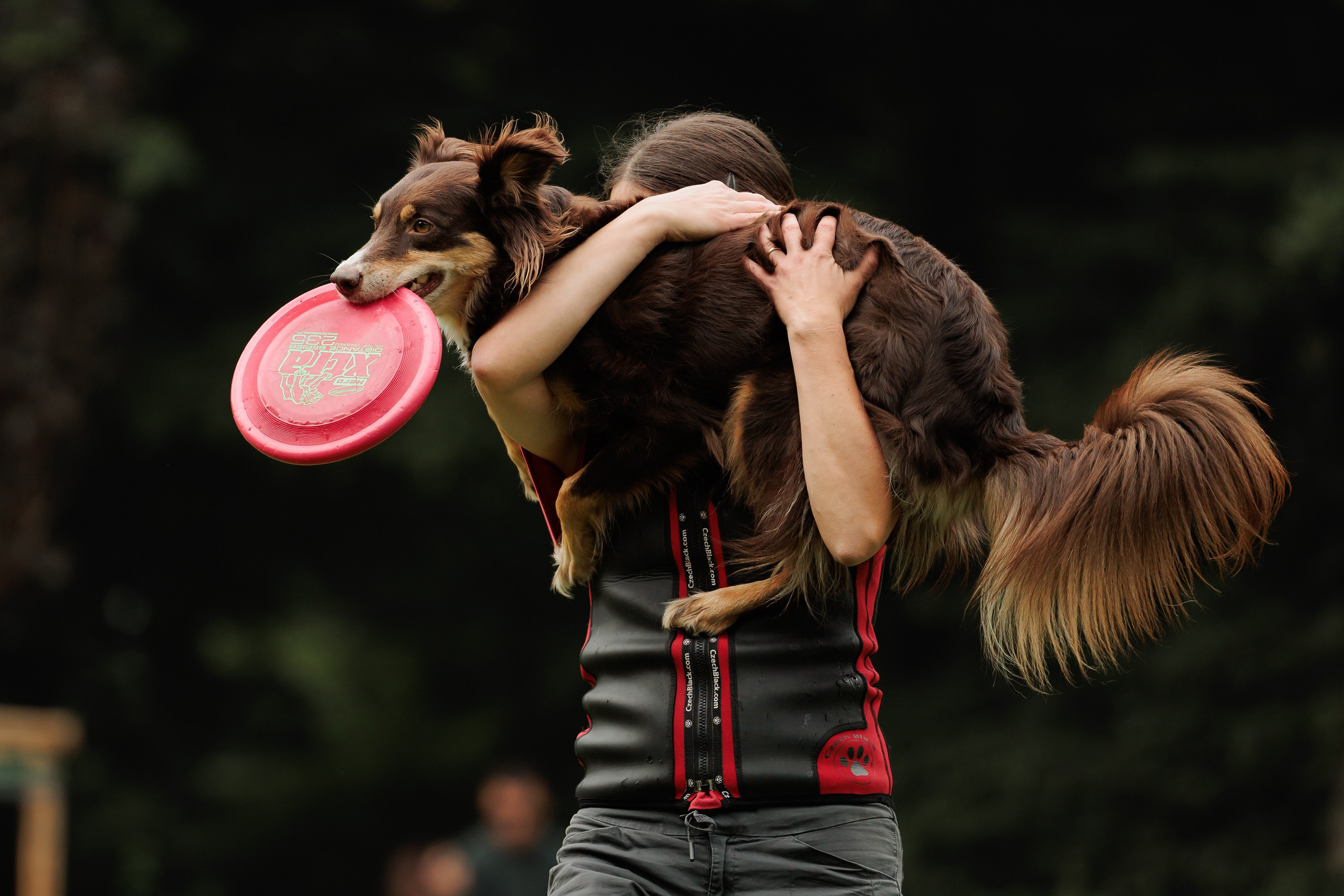 Latające psy, Wrocław'25. Kaja | fotograf psów we Wrocławiu
