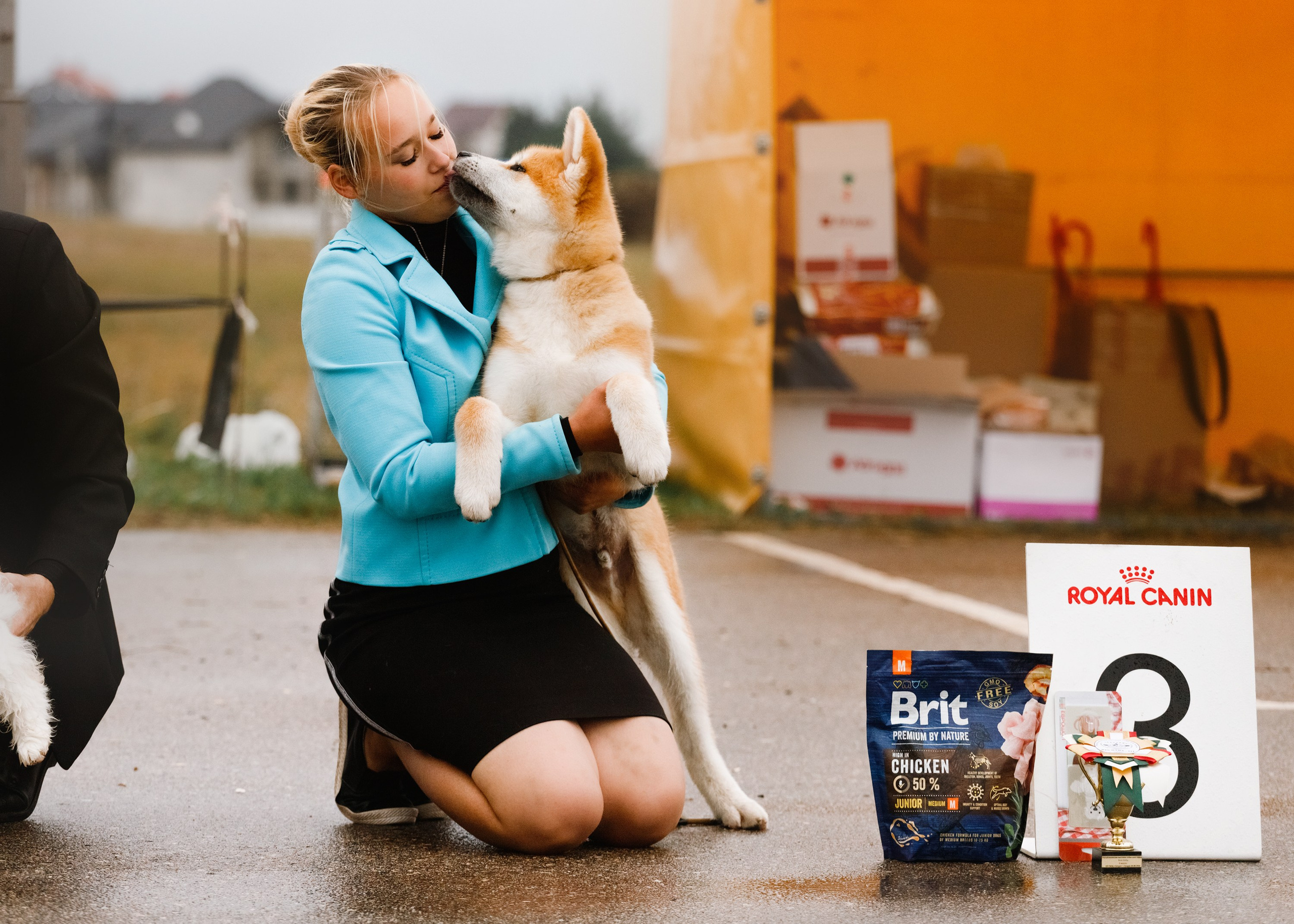 Dog shows | the best ones. Kaja | fotograf psów we Wrocławiu