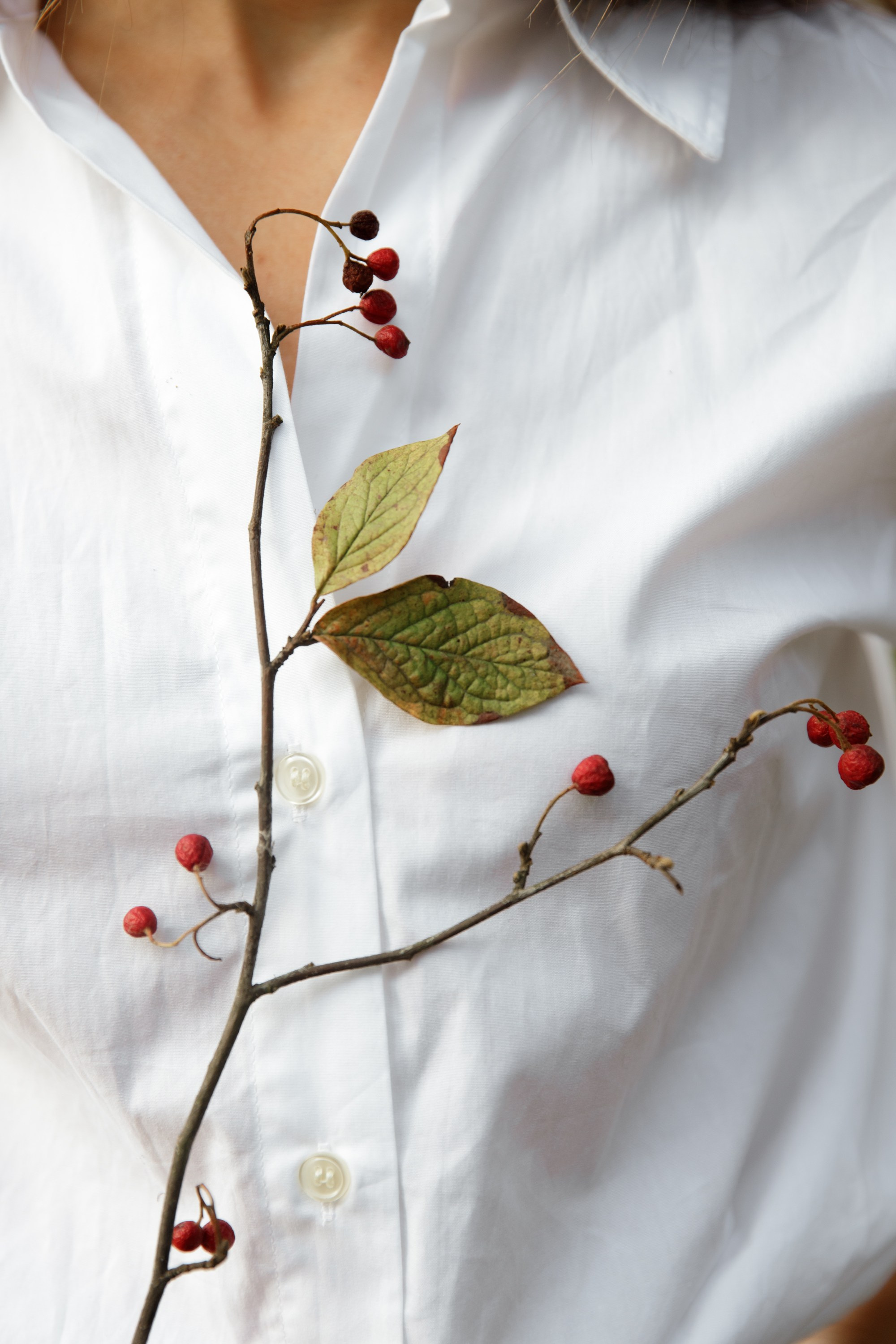 Tatiana: connect with nature & yoga. Kaja | fotograf psów we Wrocławiu