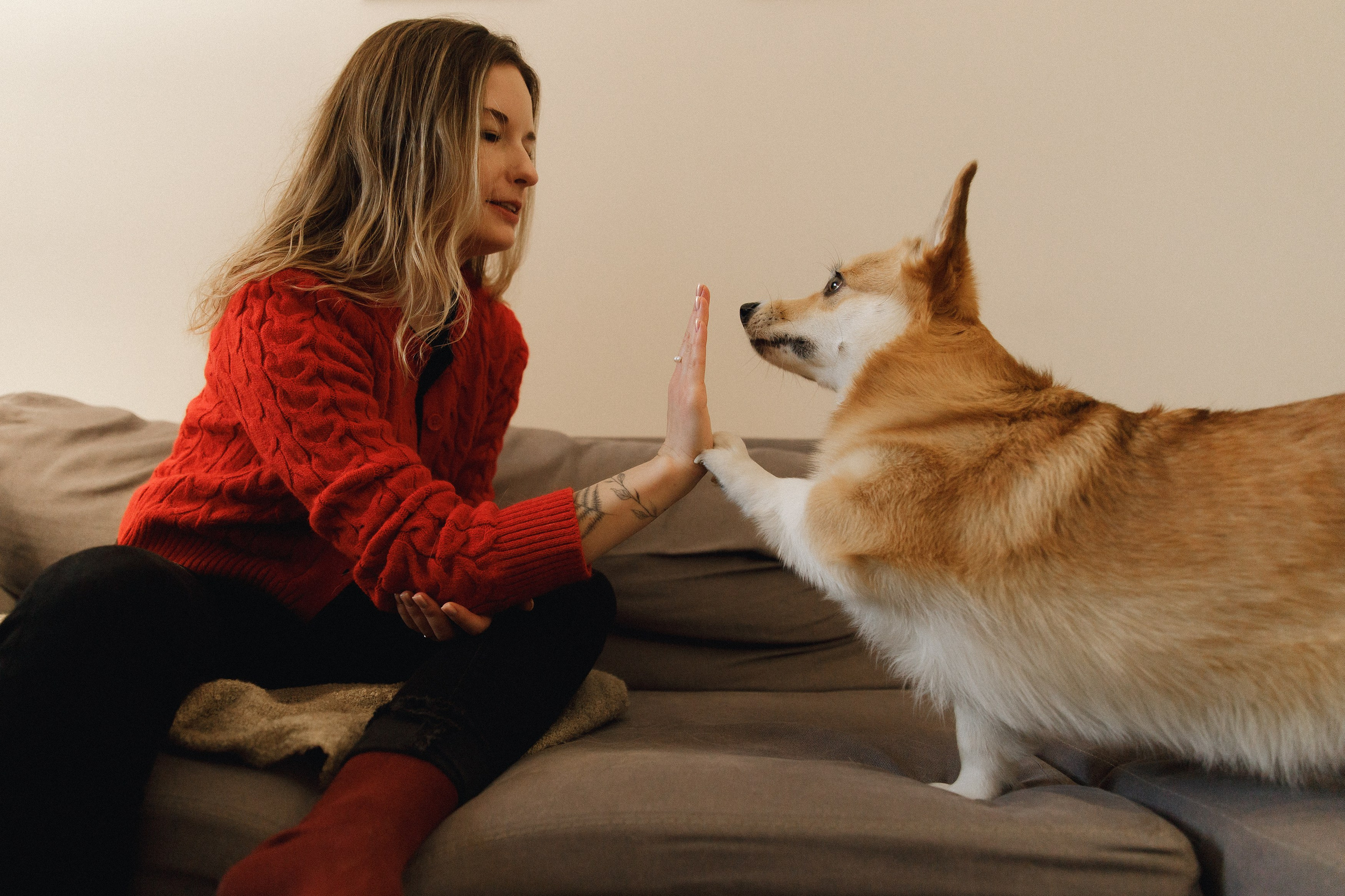 Dasha & Daisy. Kaja | fotograf psów we Wrocławiu
