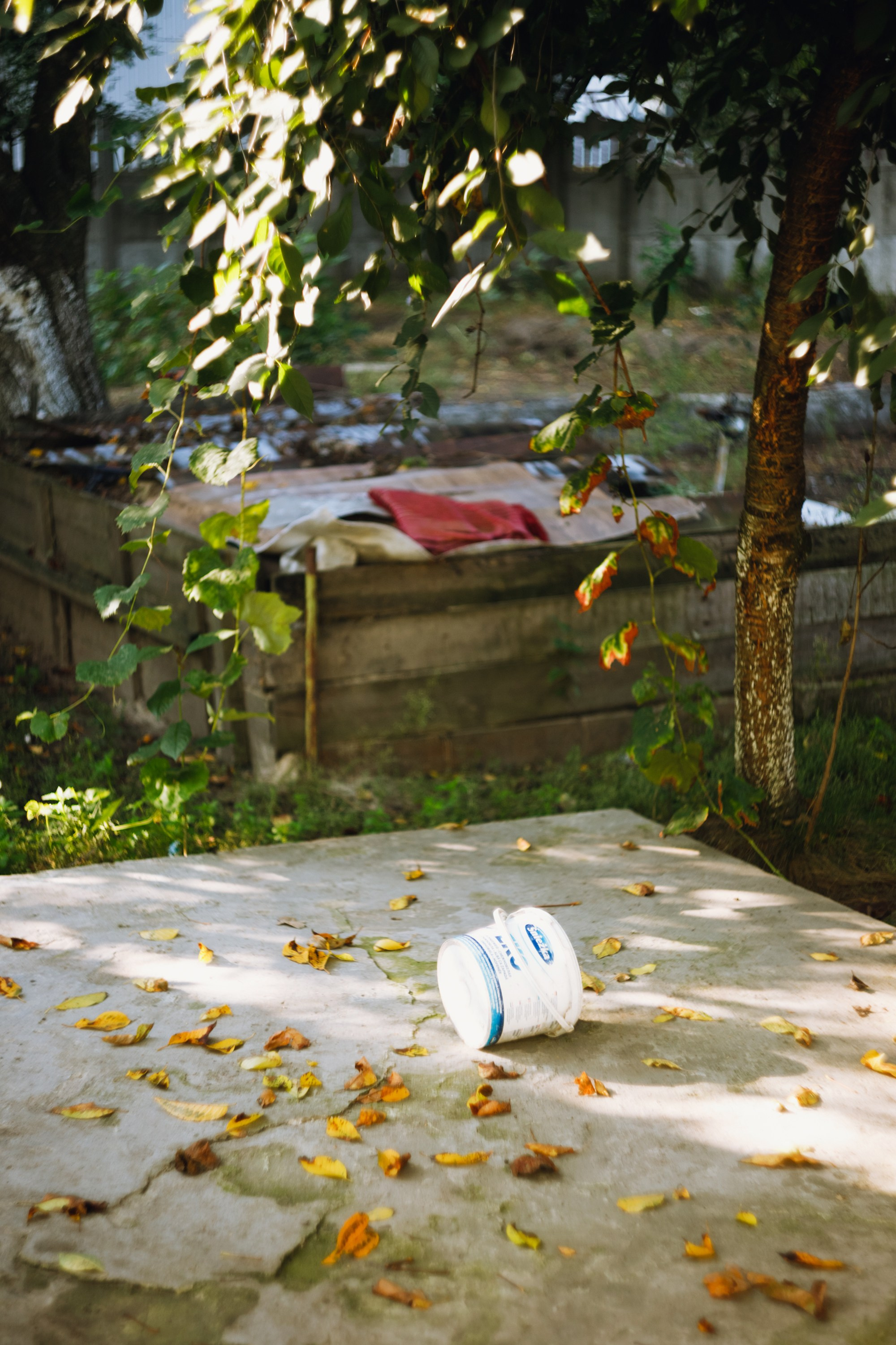 Grandmother's home in Brest. Kaja | fotograf we Wrocławiu | ludzie i psy
