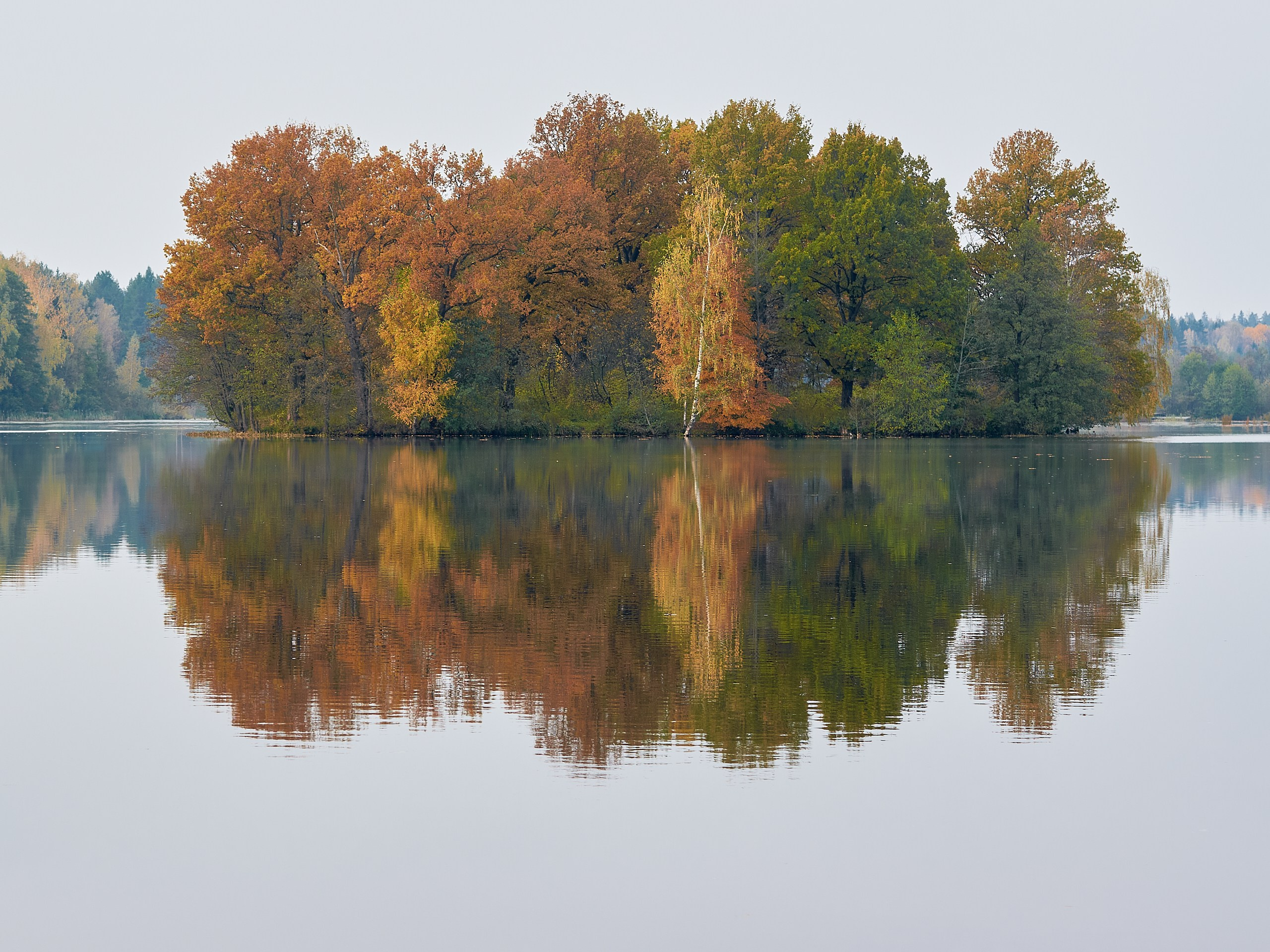 Yuri Popkov | Photographer