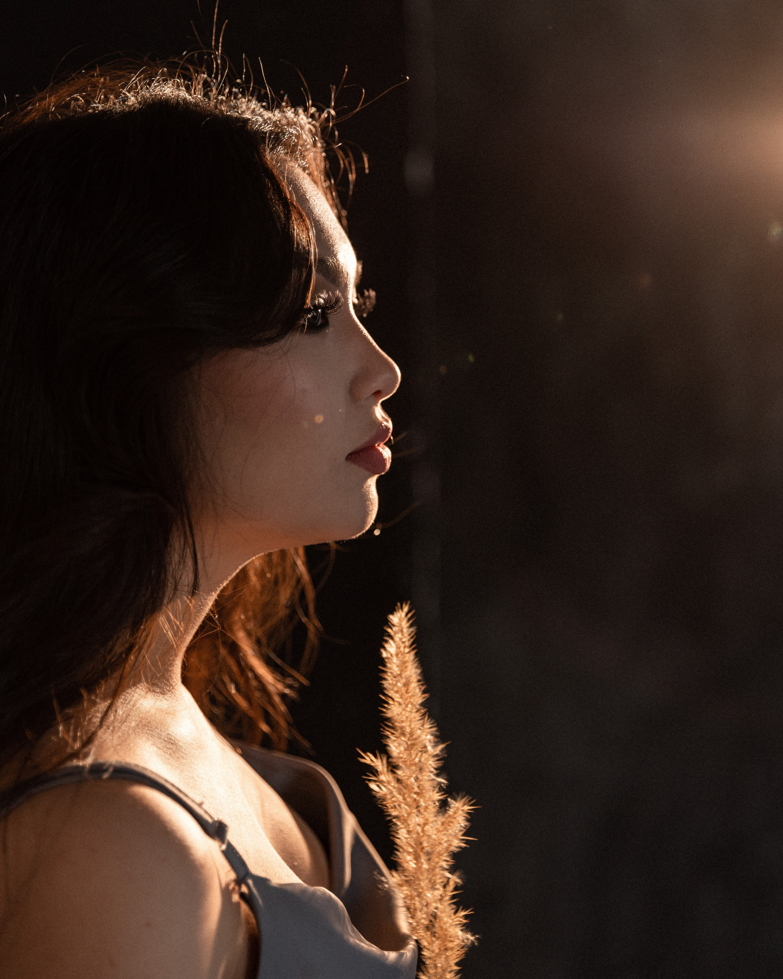 Студийная фотосъёмка. Яркие моменты, запечатленные в каждом кадре