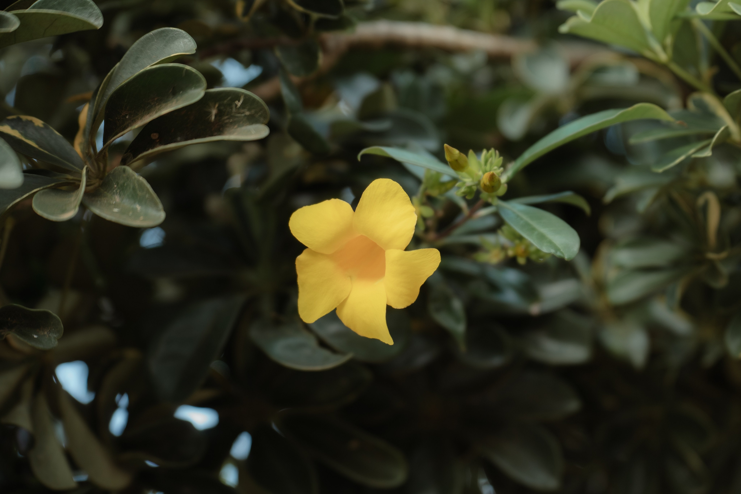 Aldre & Matheus | Guarapari. Lembrar não é só ver. É sentir de novo