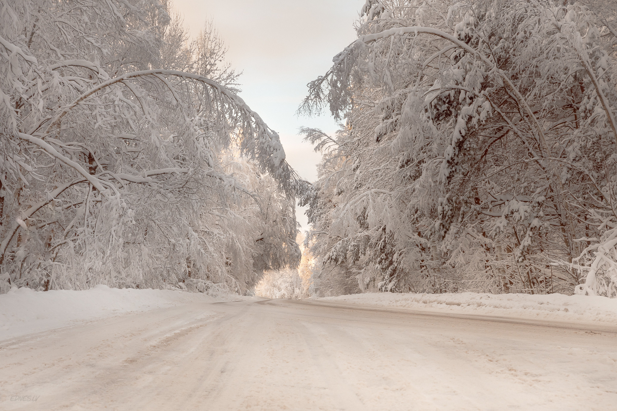 Gallery. Photographer Eduard Nesterov